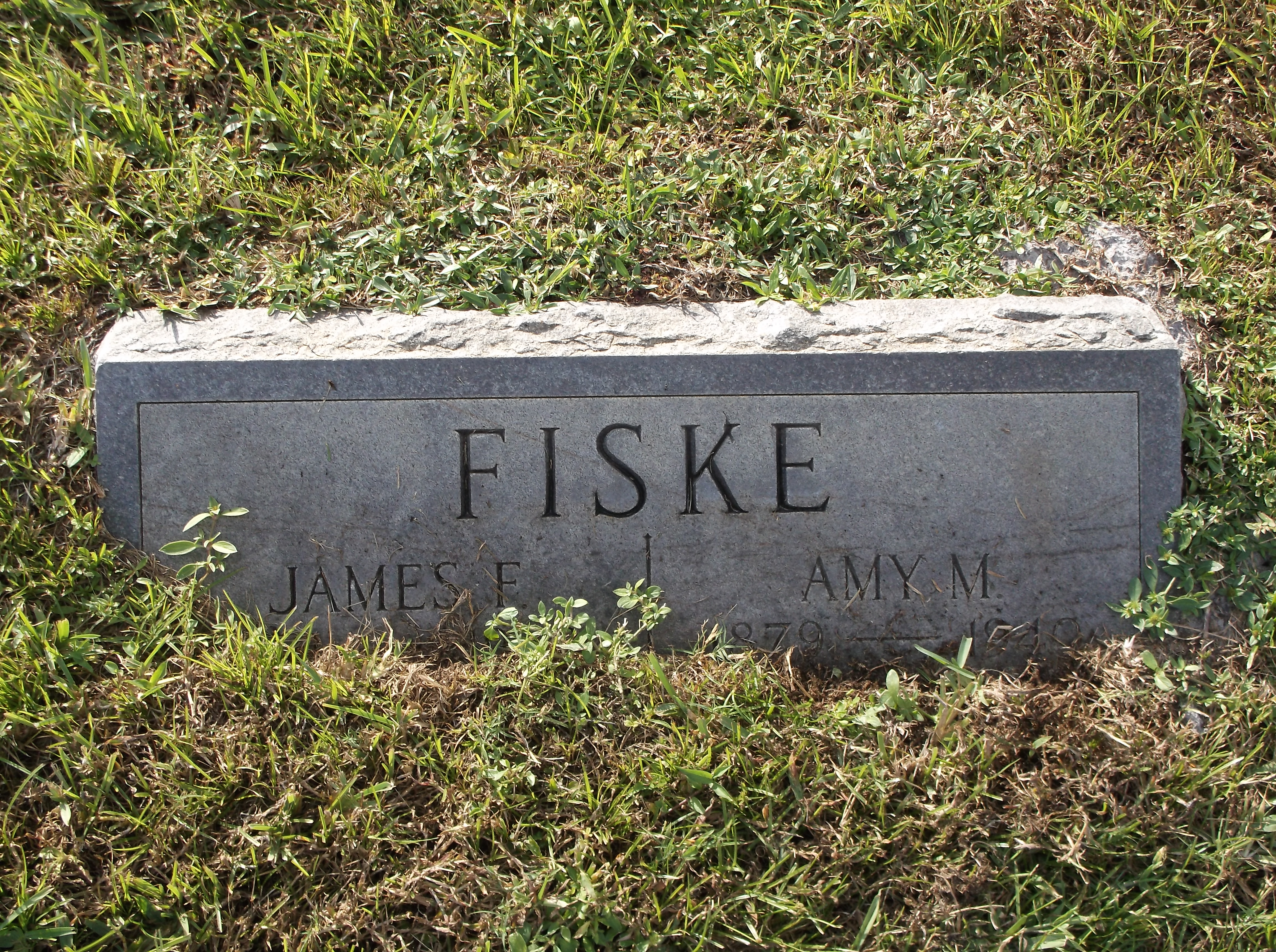 Amy M Fiske