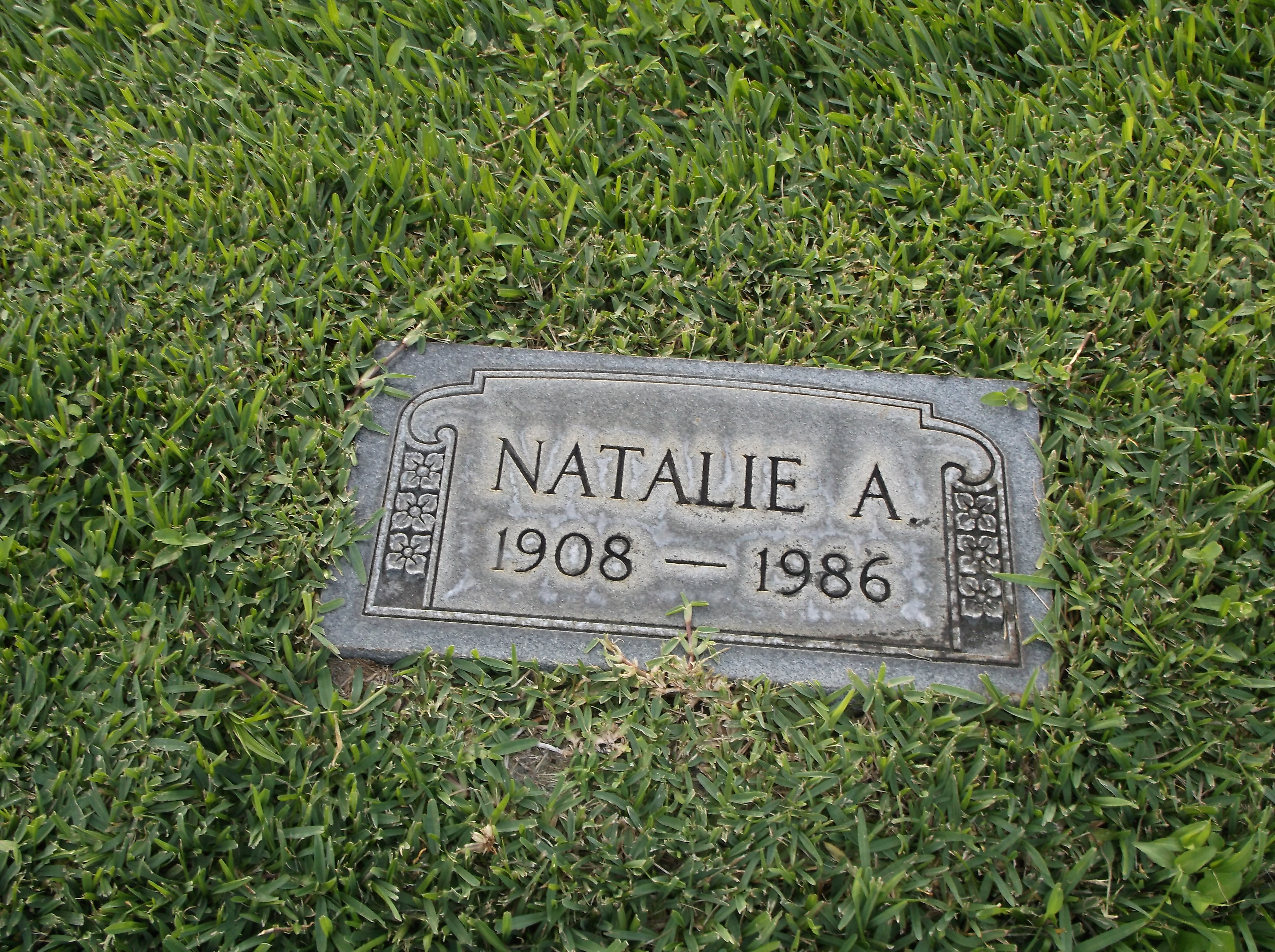 Natalie A Fitzgerald