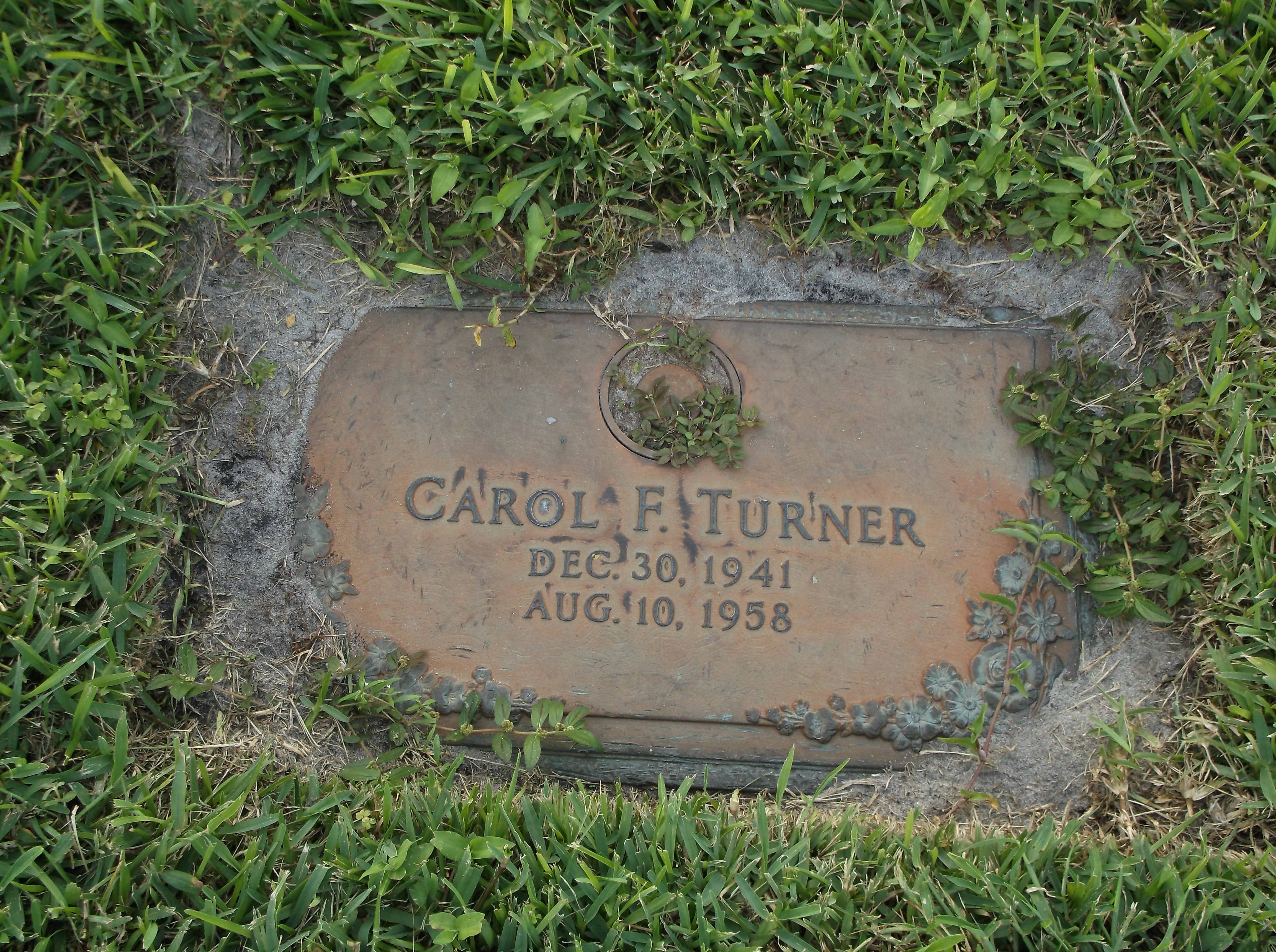 Francis C Turner