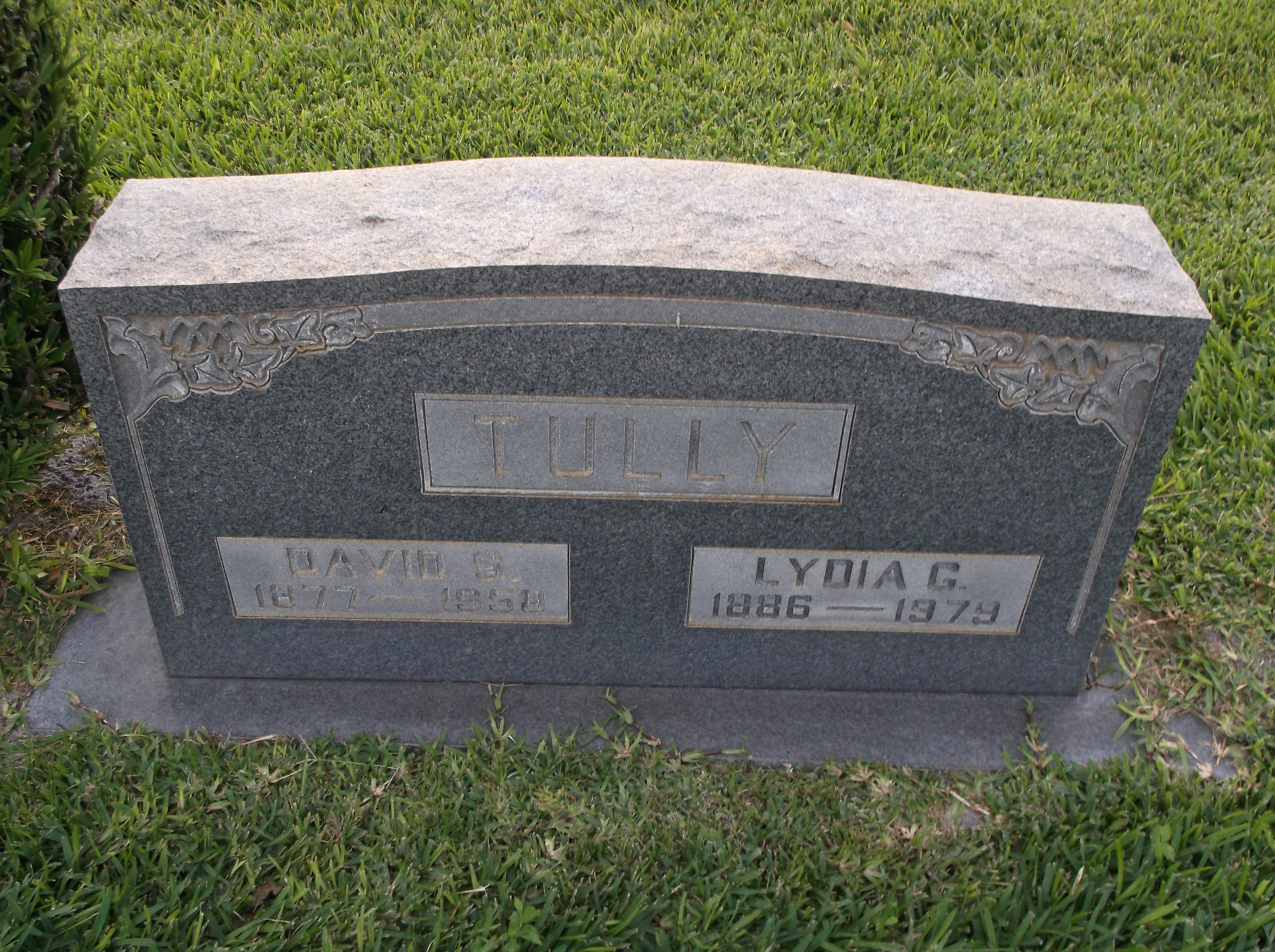 Lydia G Tully