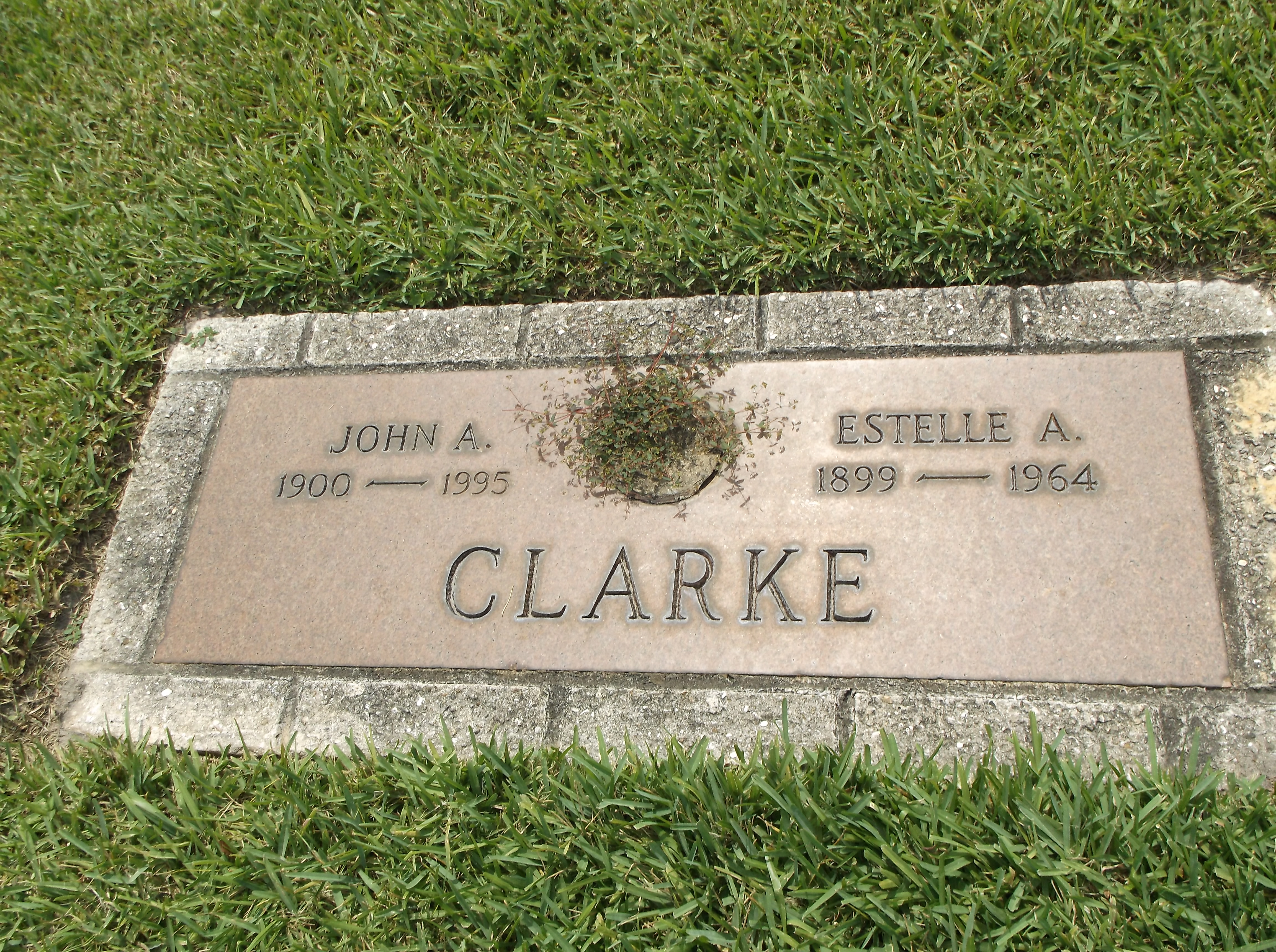 John A Clarke