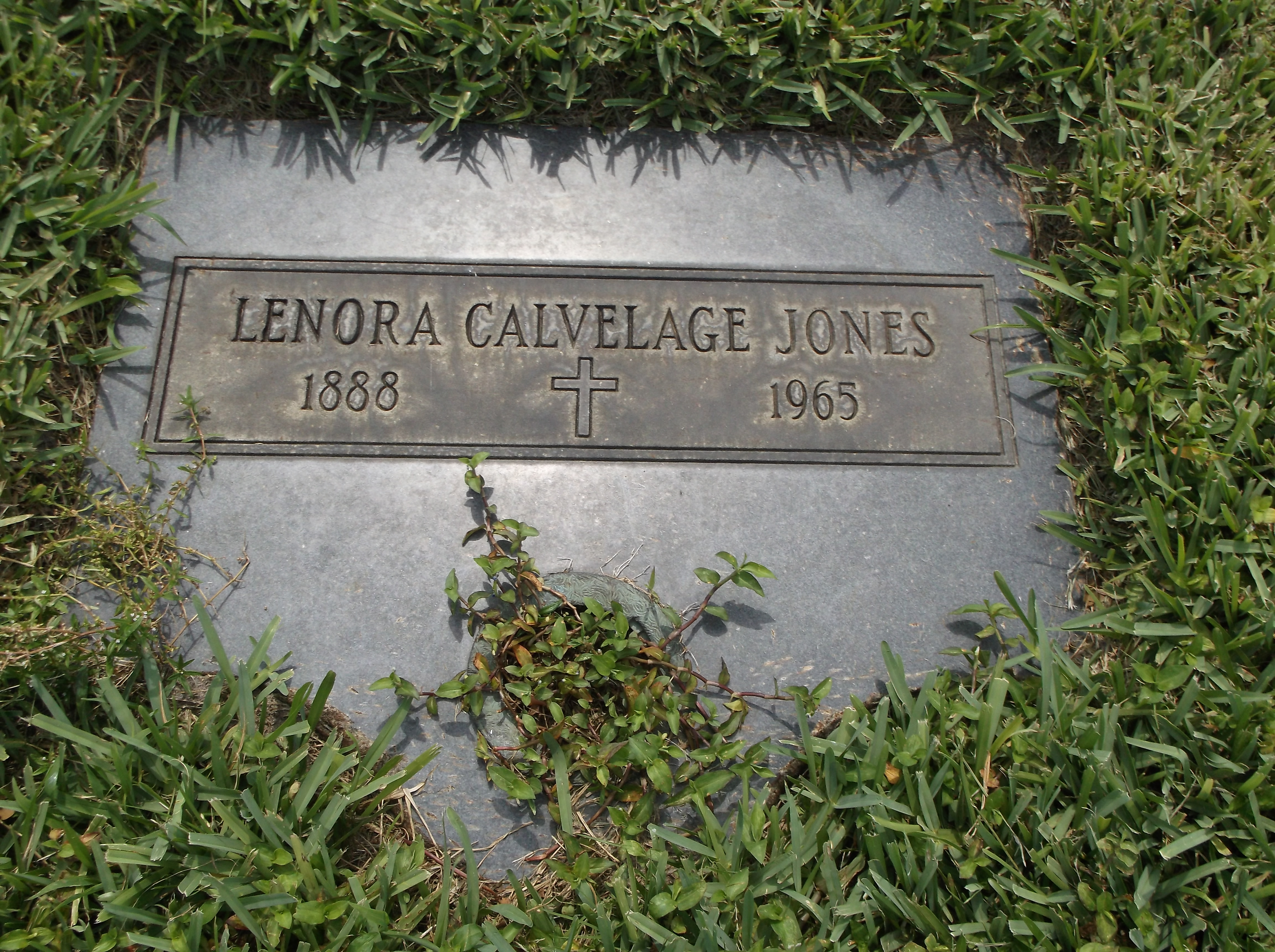 Lenora Calvelage Jones