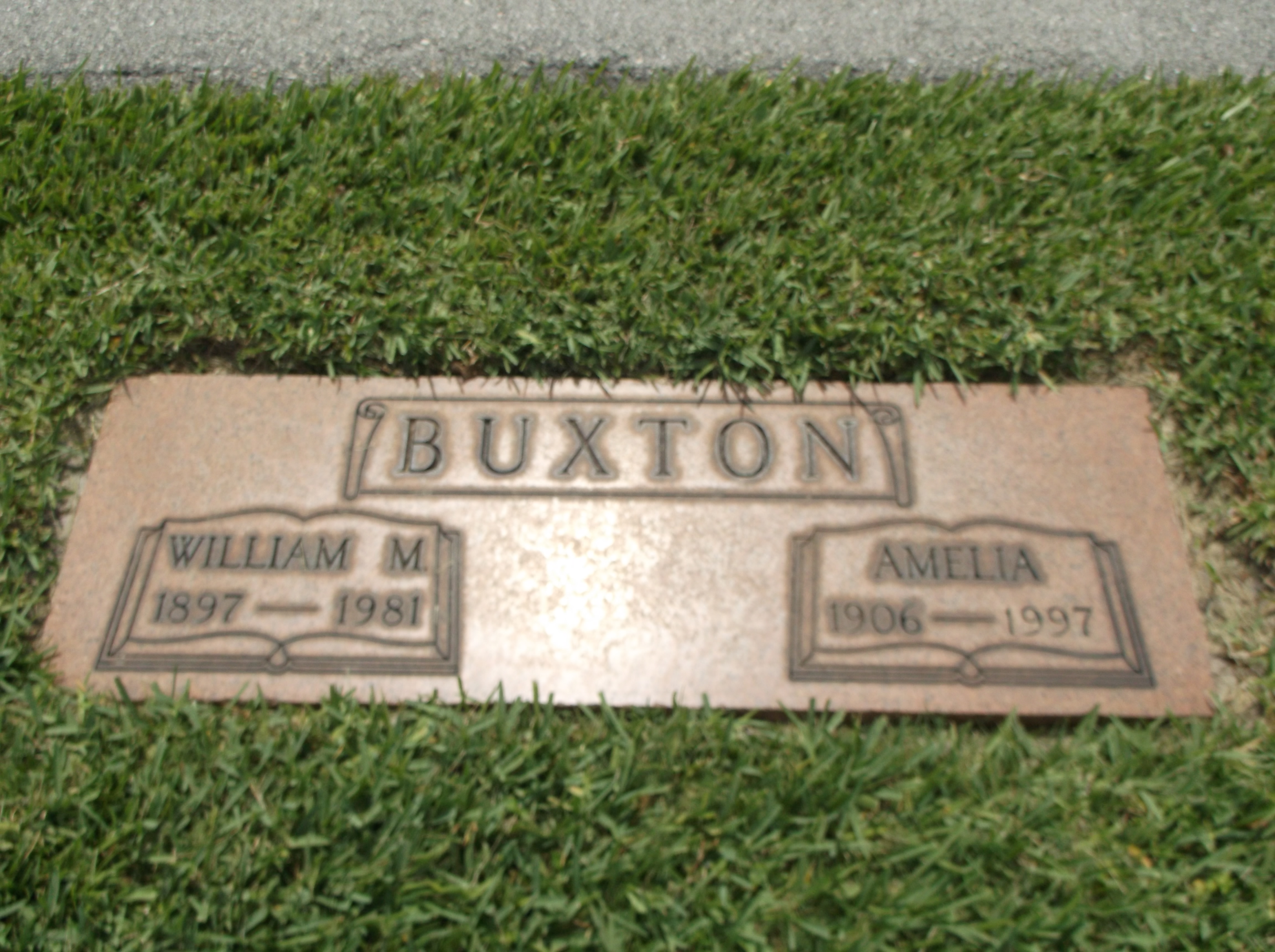 William M Buxton