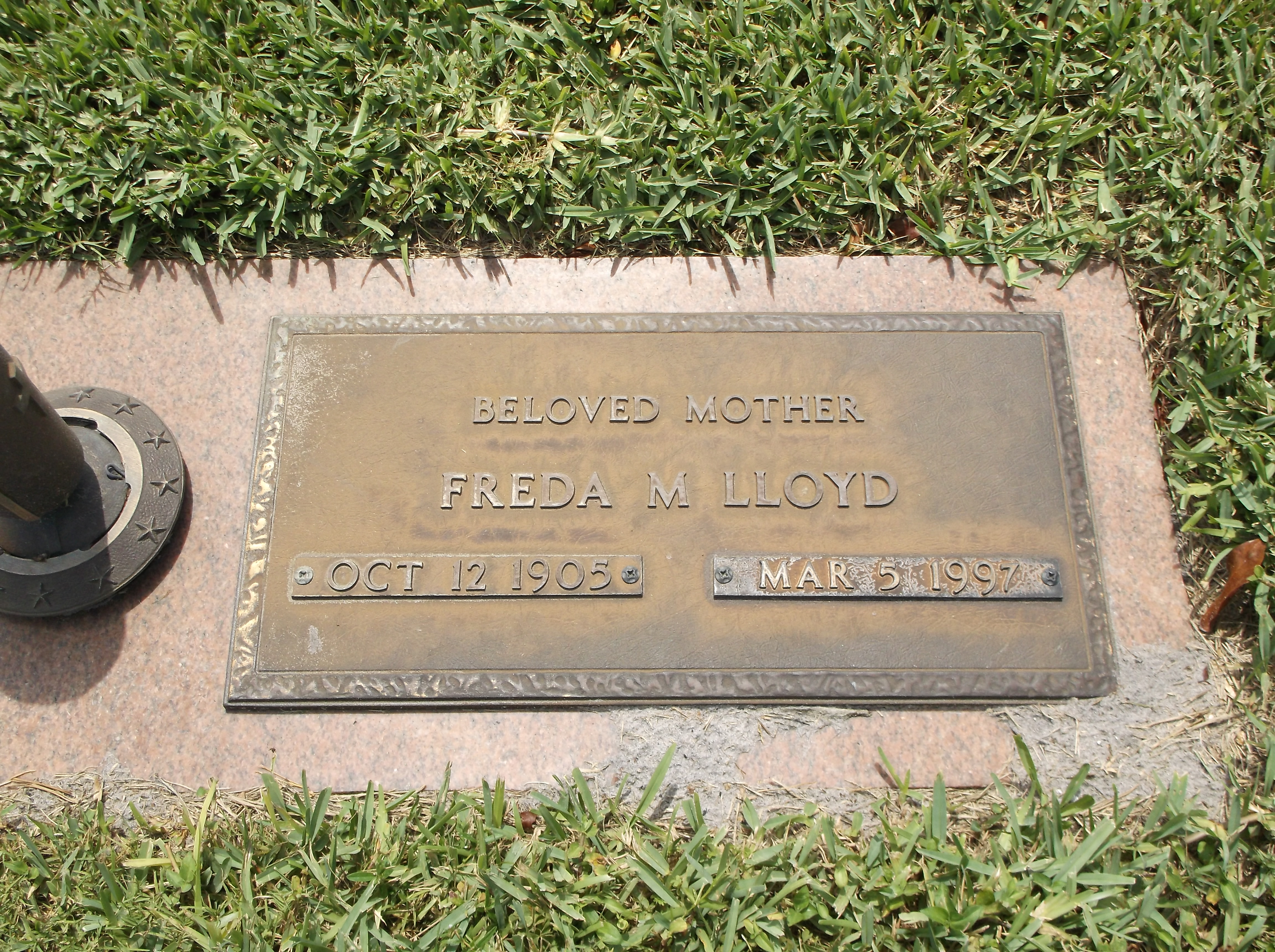 Freda M Lloyd