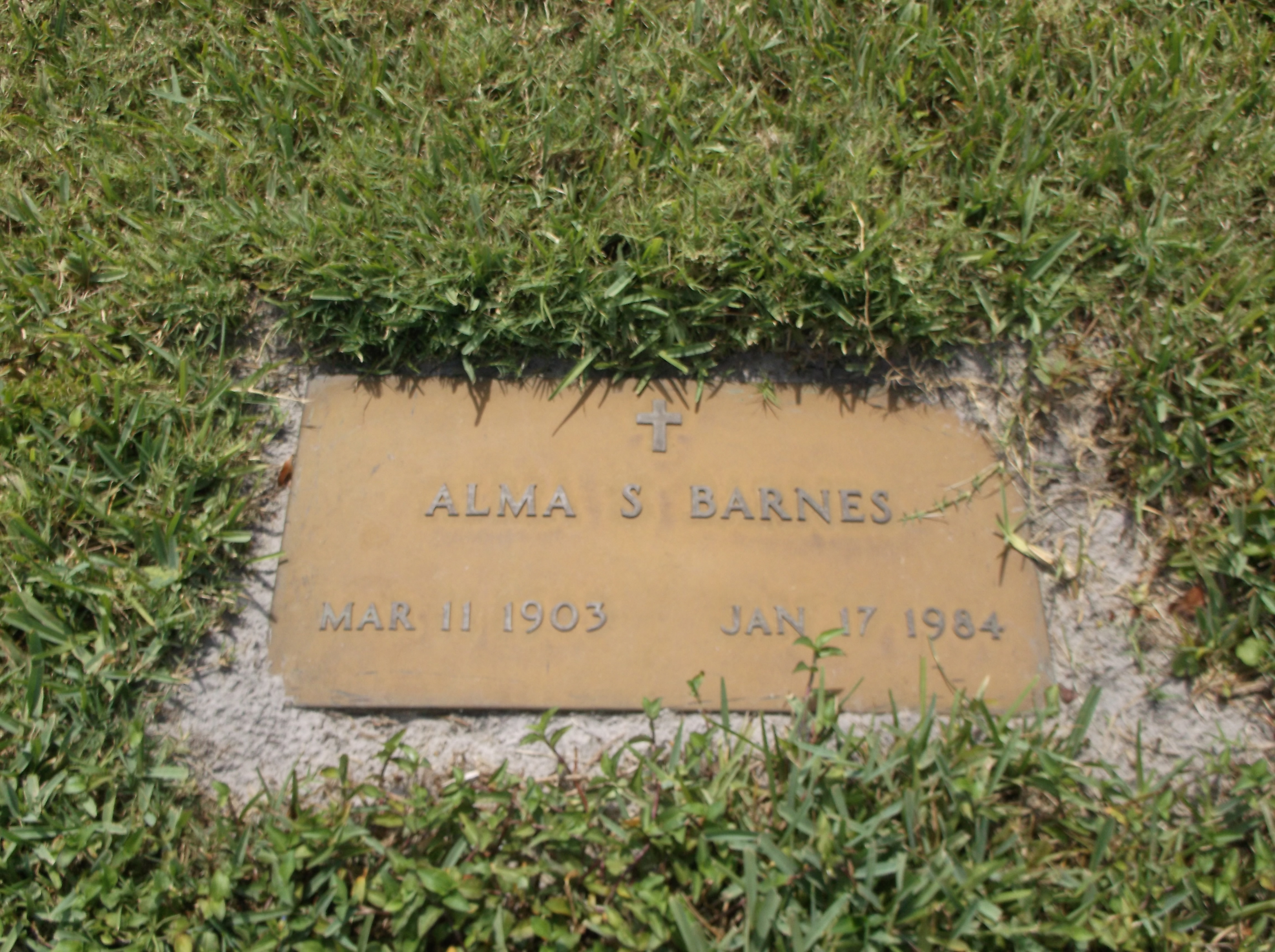 Alma S Barnes