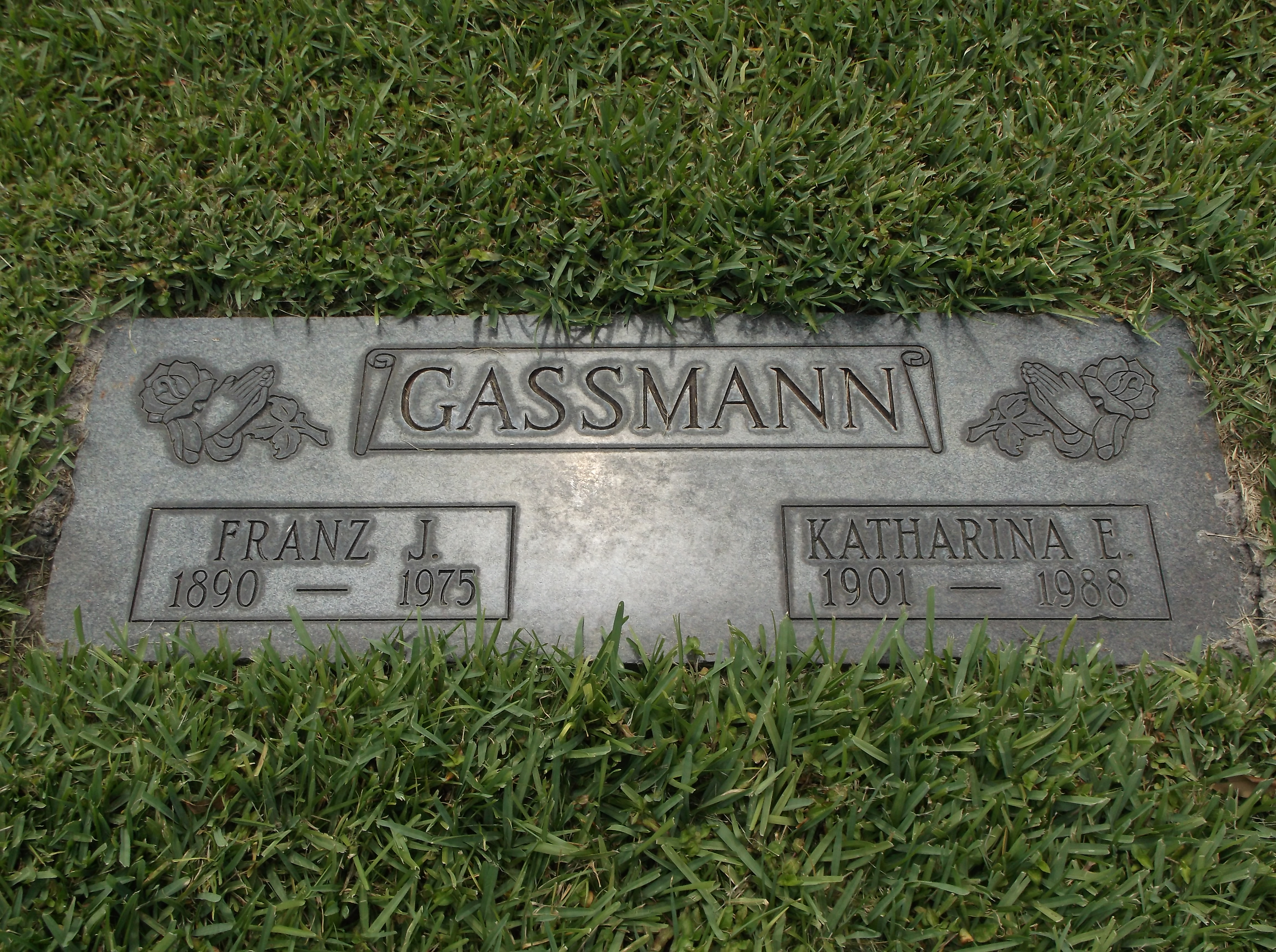 Franz J Gassmann