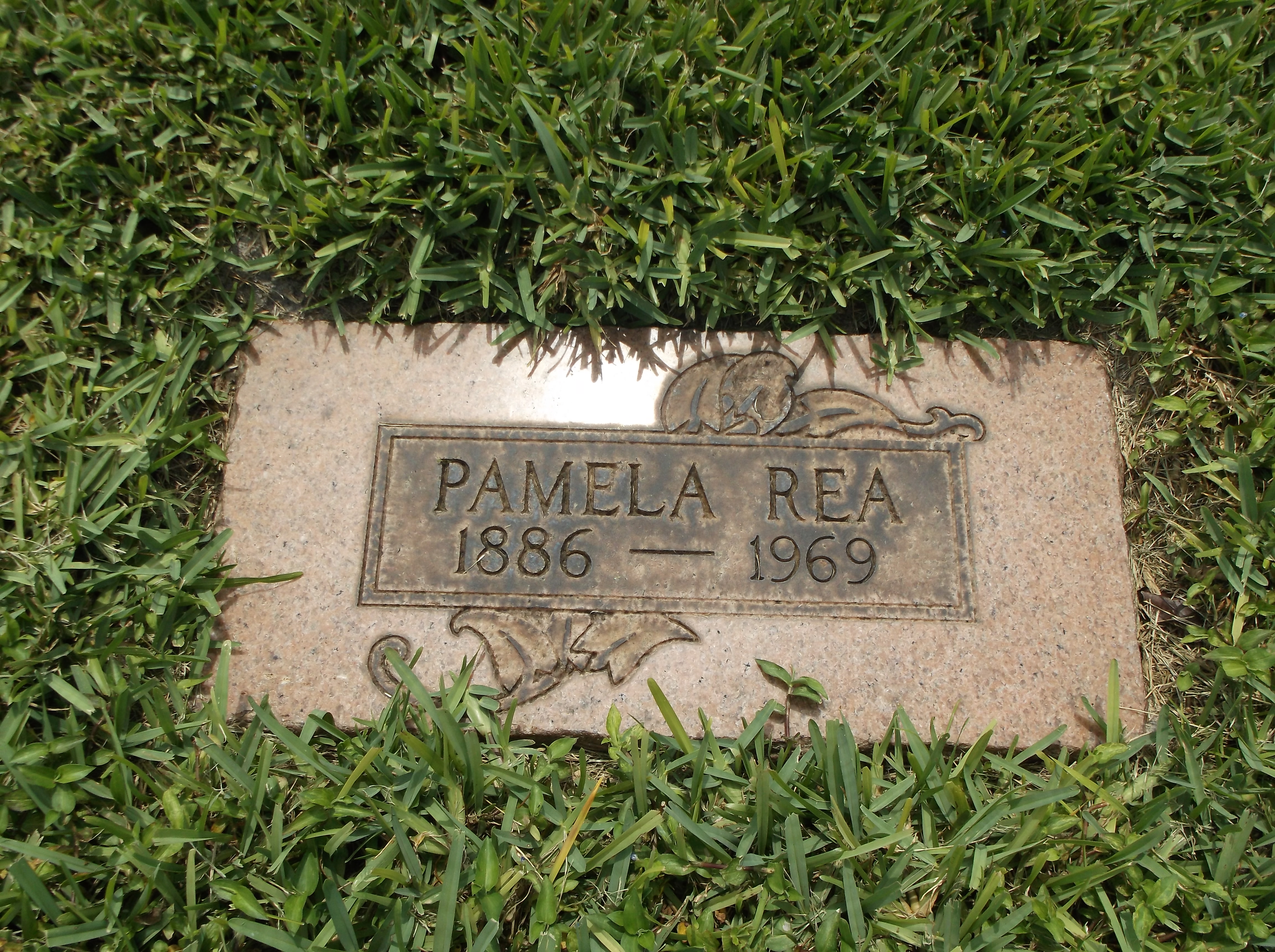 Pamela Rea
