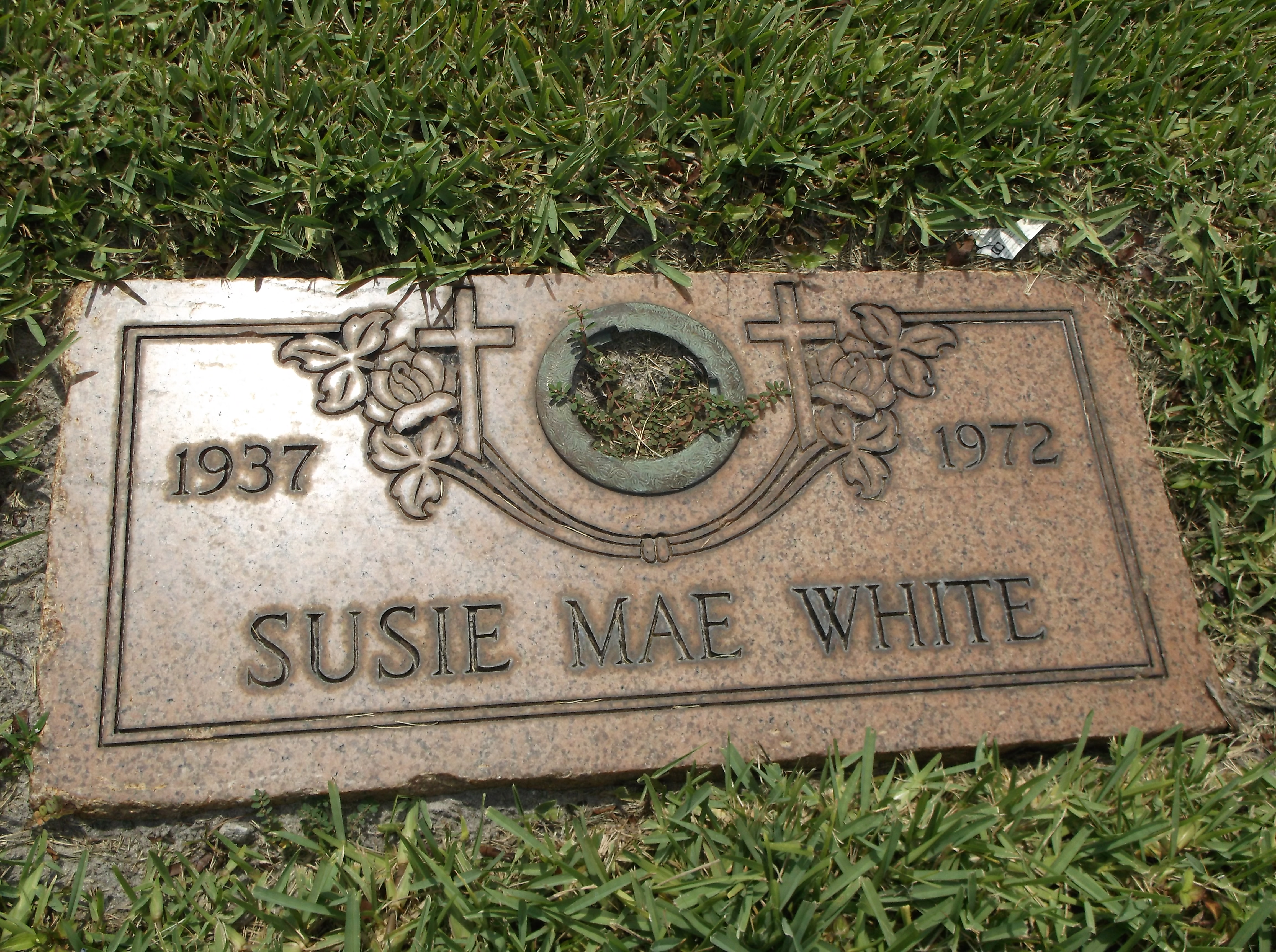 Susie Mae White