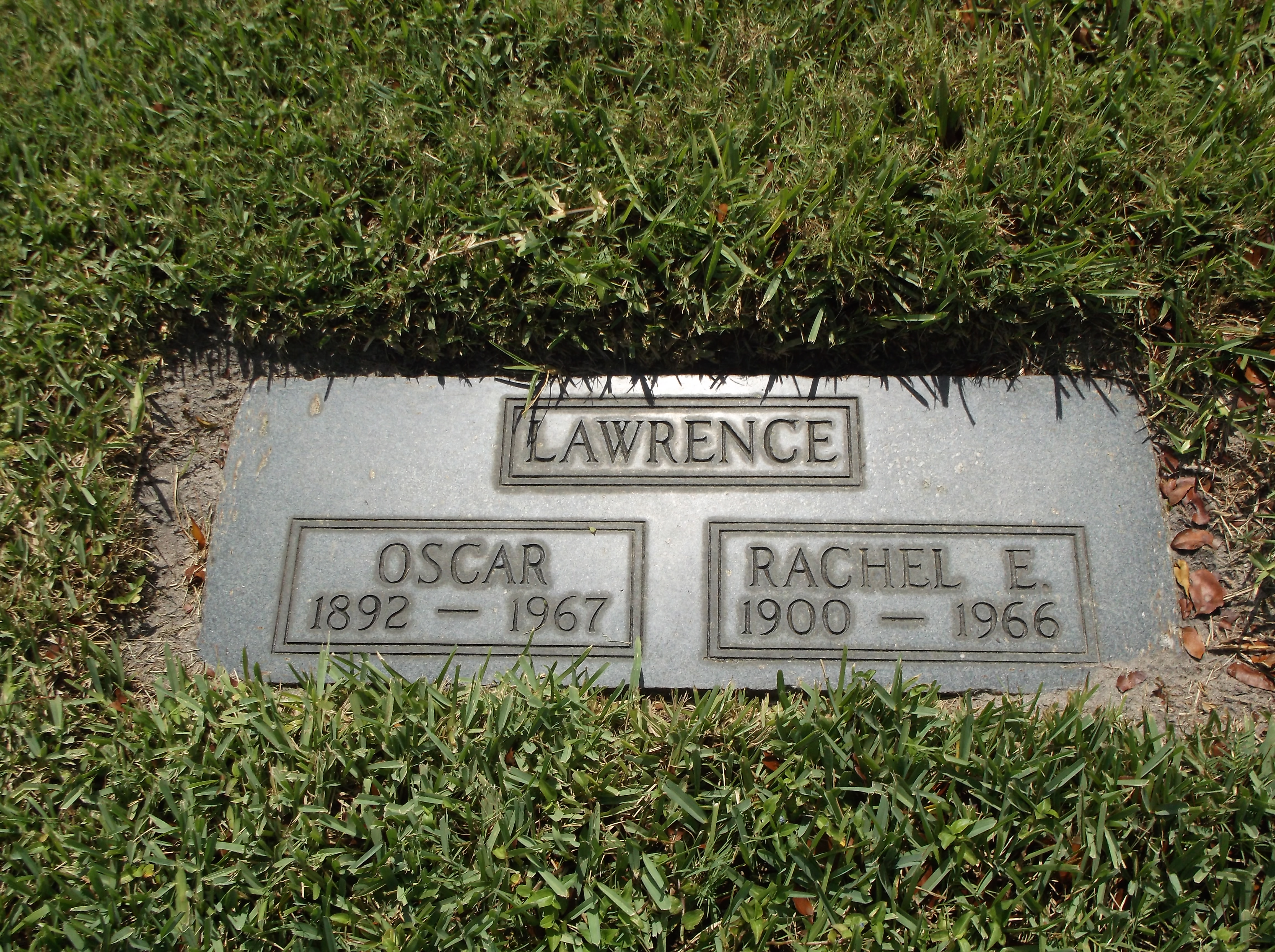 Rachel E Lawrence