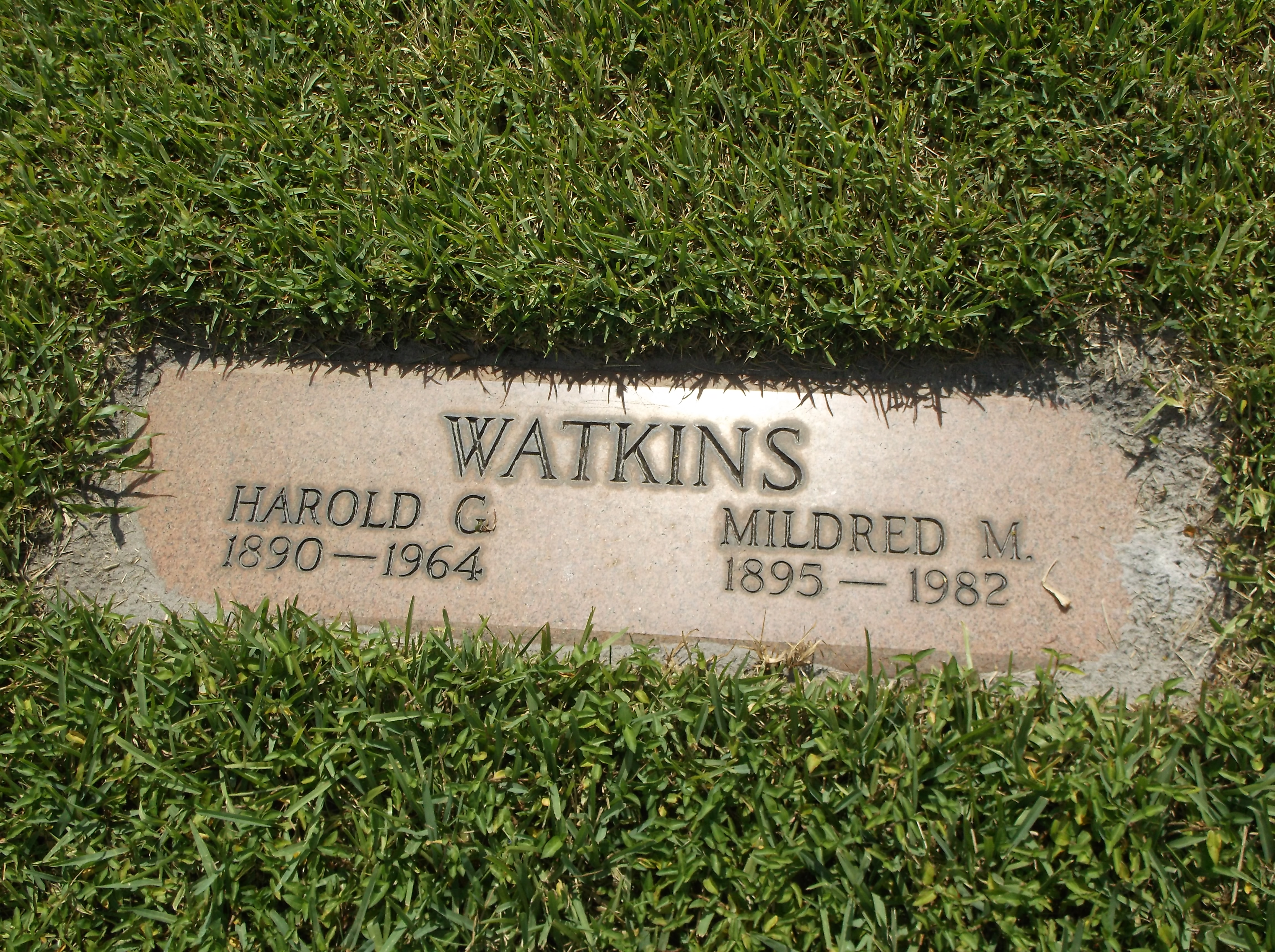 Harold G Watkins