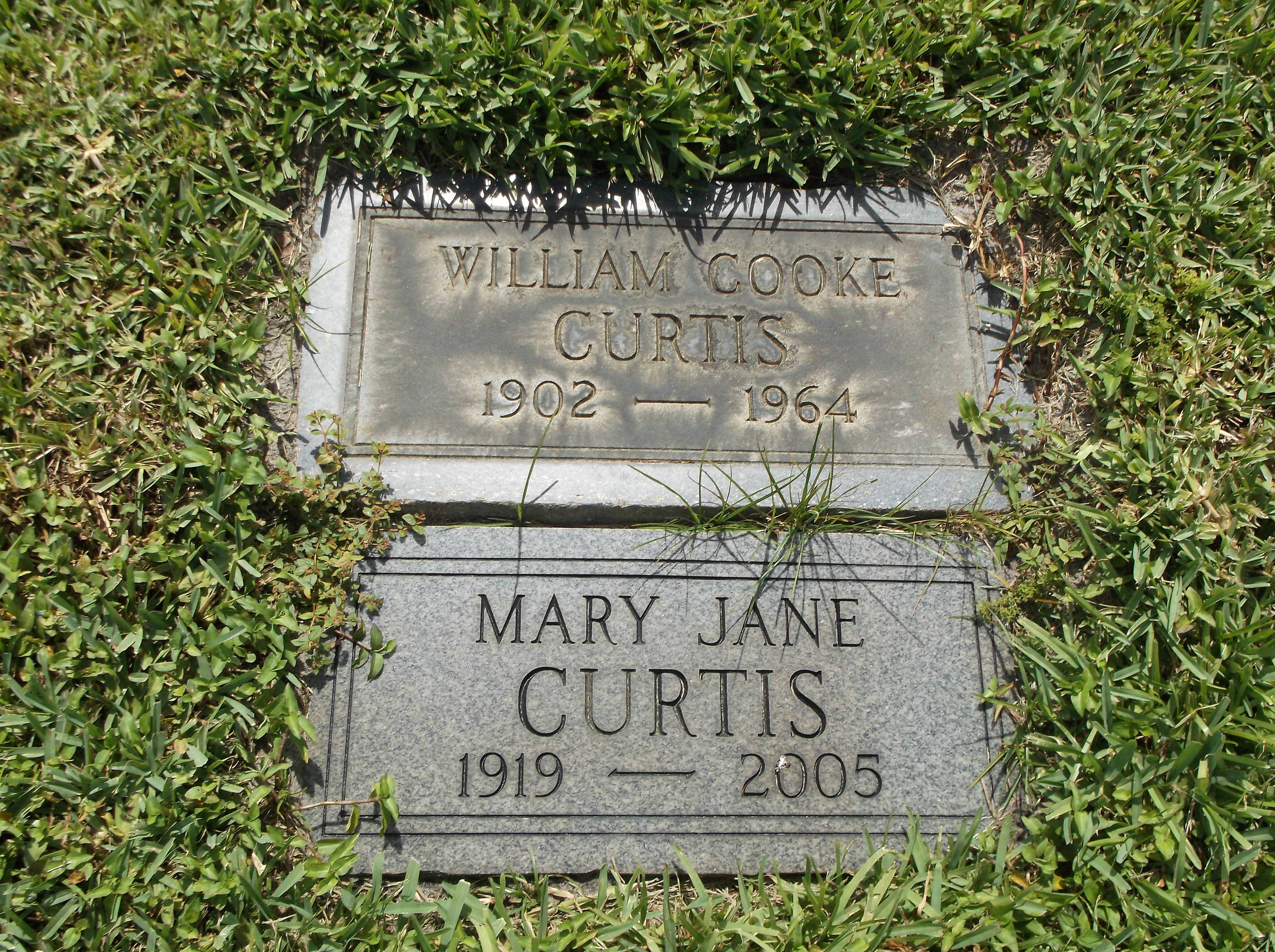 Mary Jane Curtis