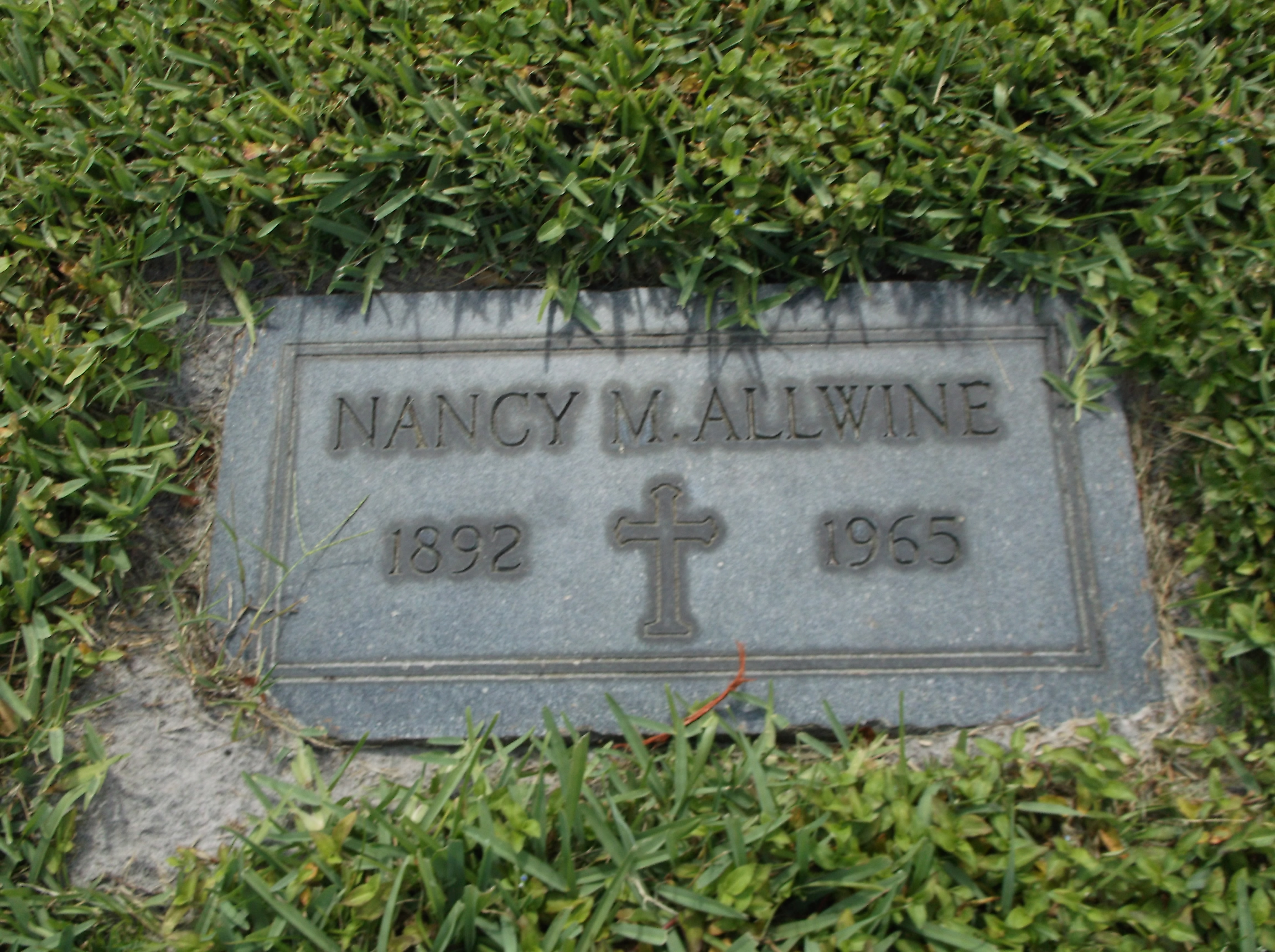 Nancy M Allwine