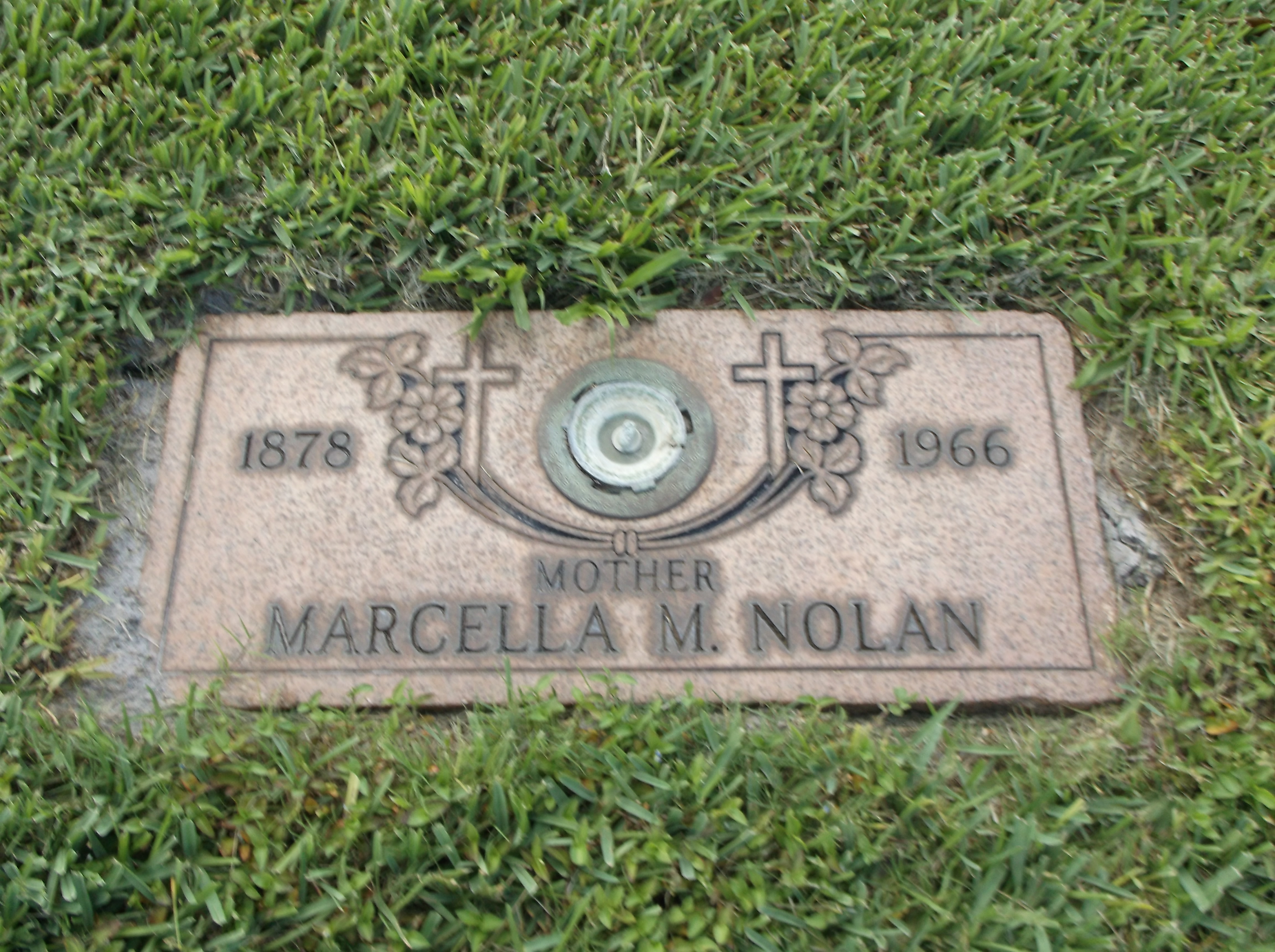 Marcella M Nolan