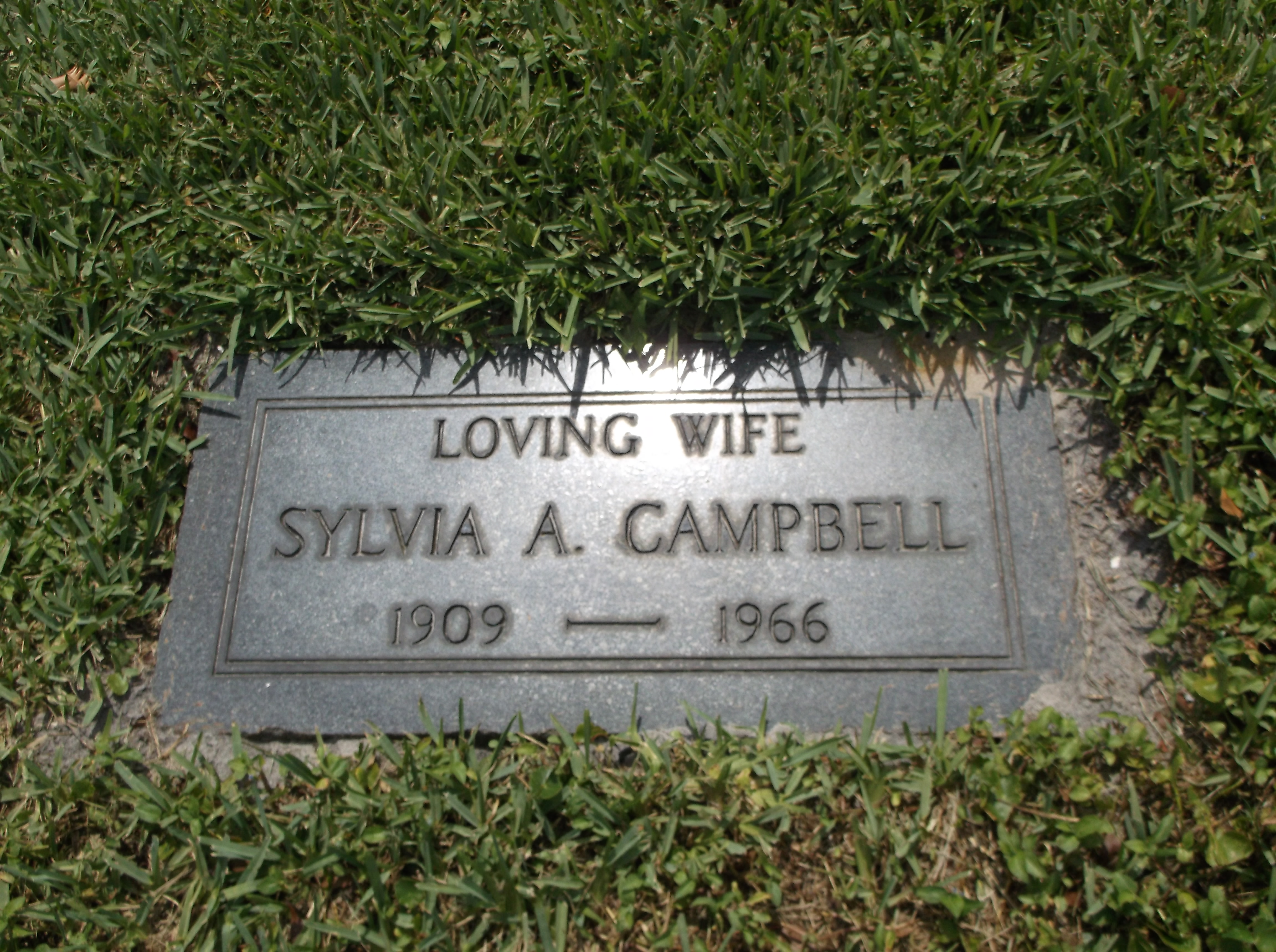 Sylvia A Campbell