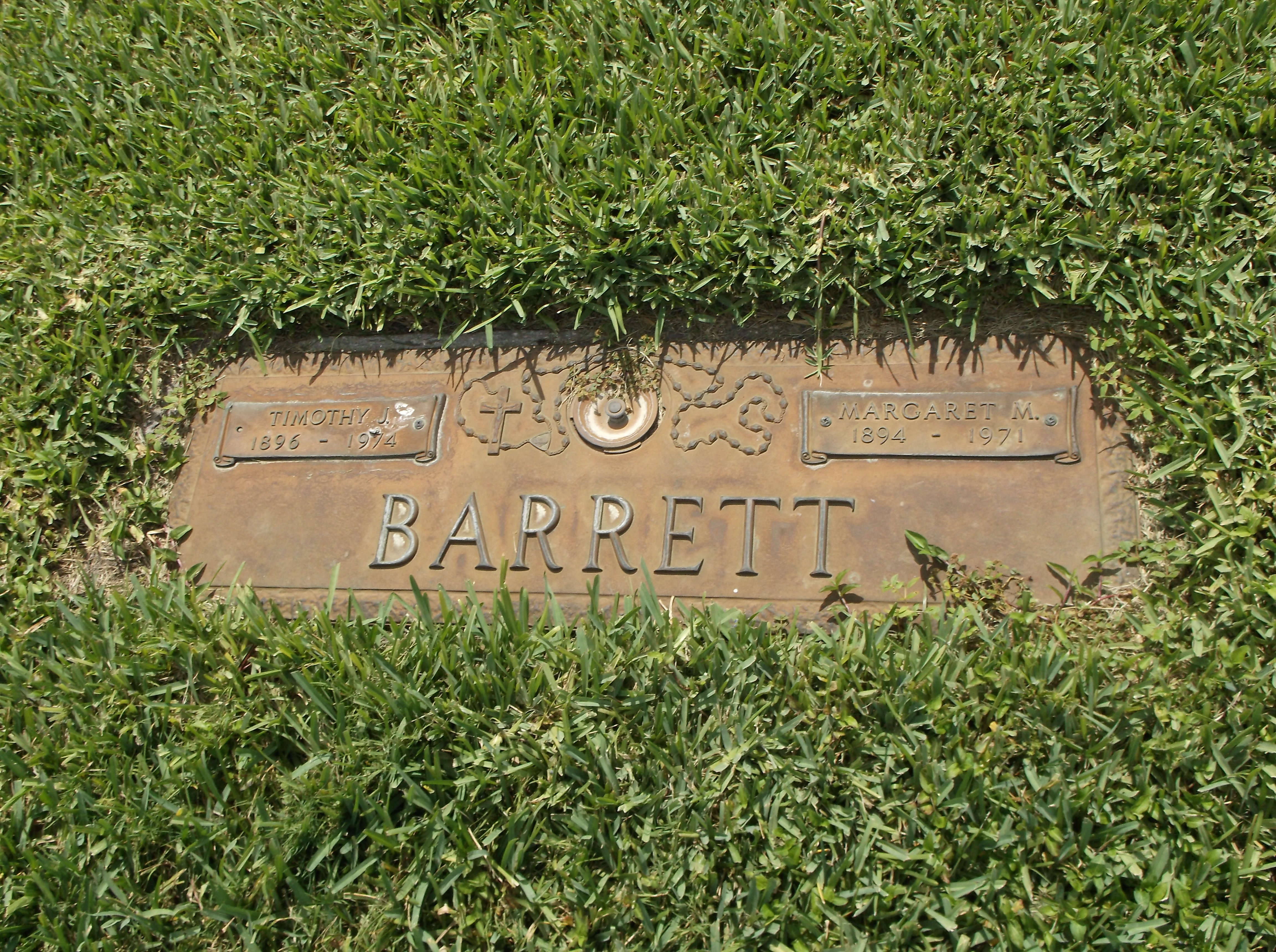 Timothy J Barrett