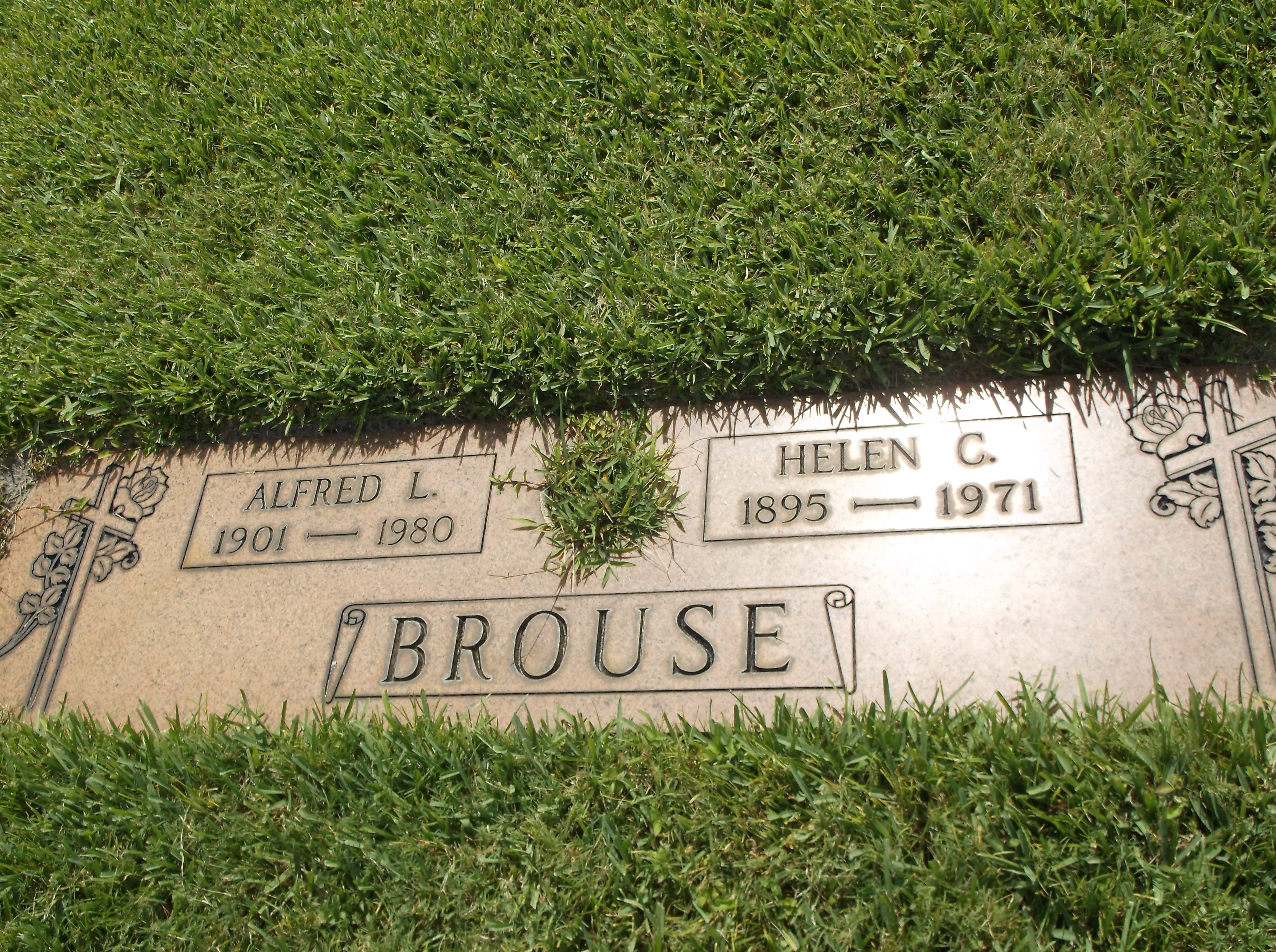 Helen C Brouse