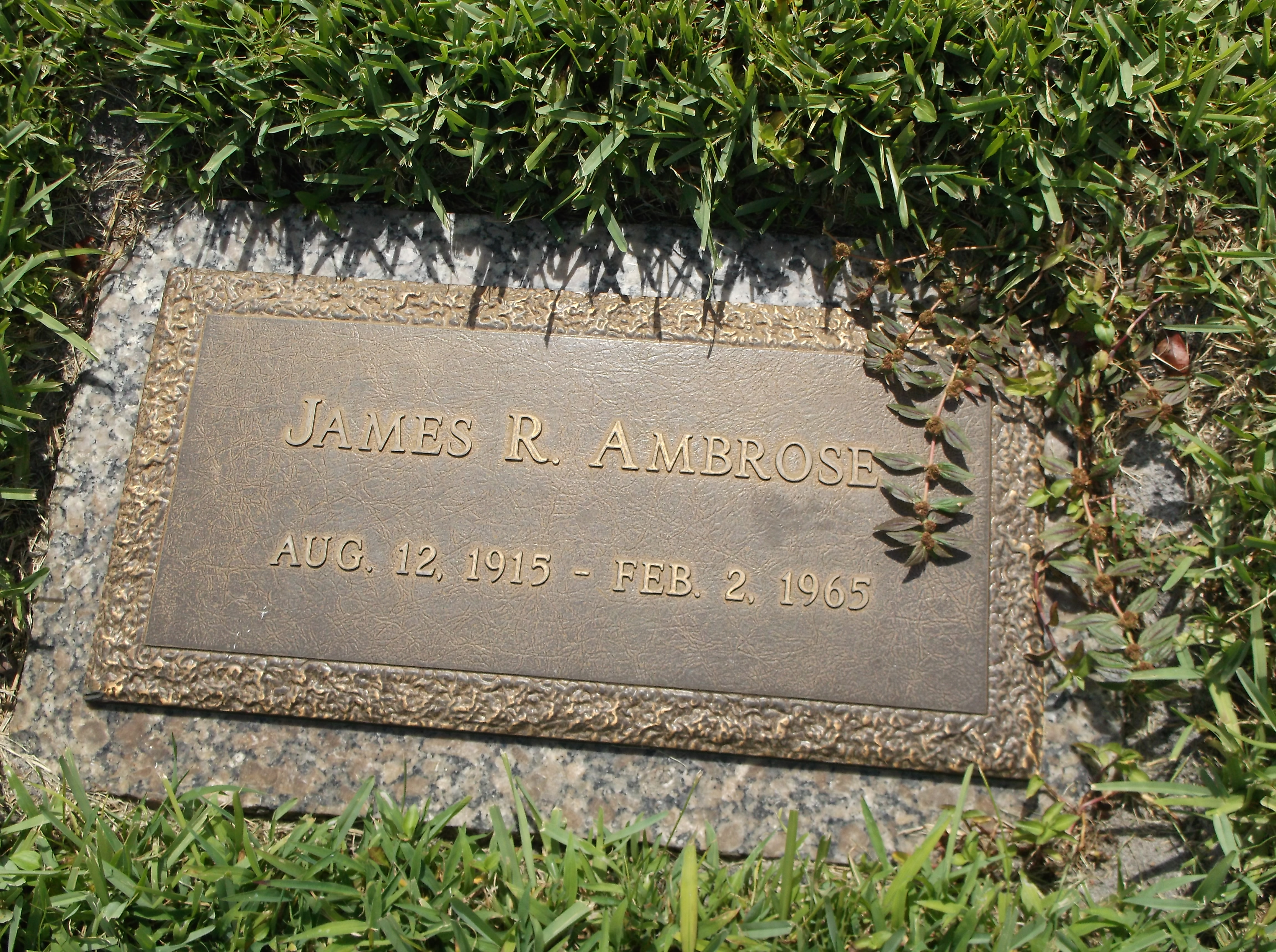 James R Ambrose