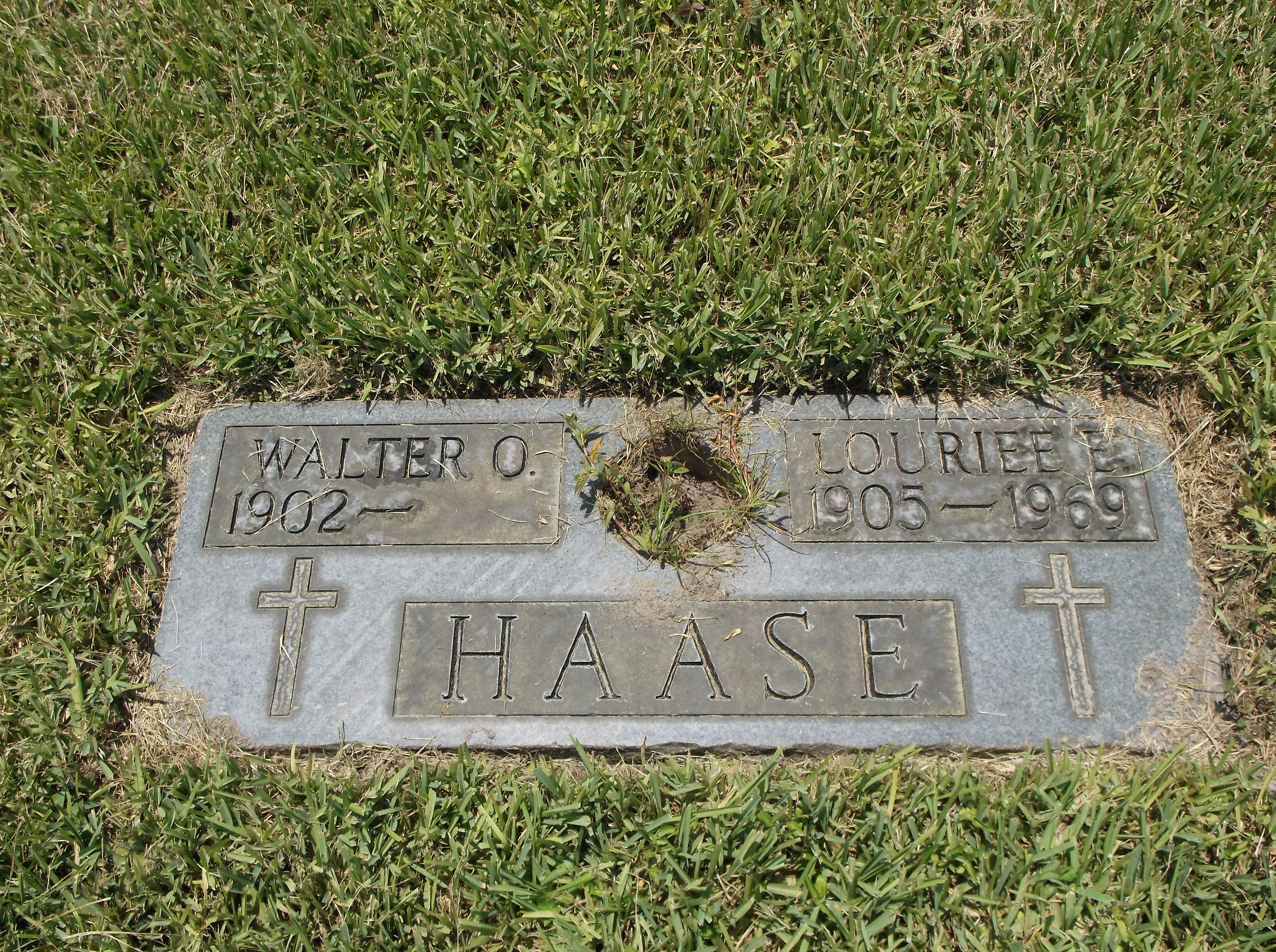 Walter O Haase