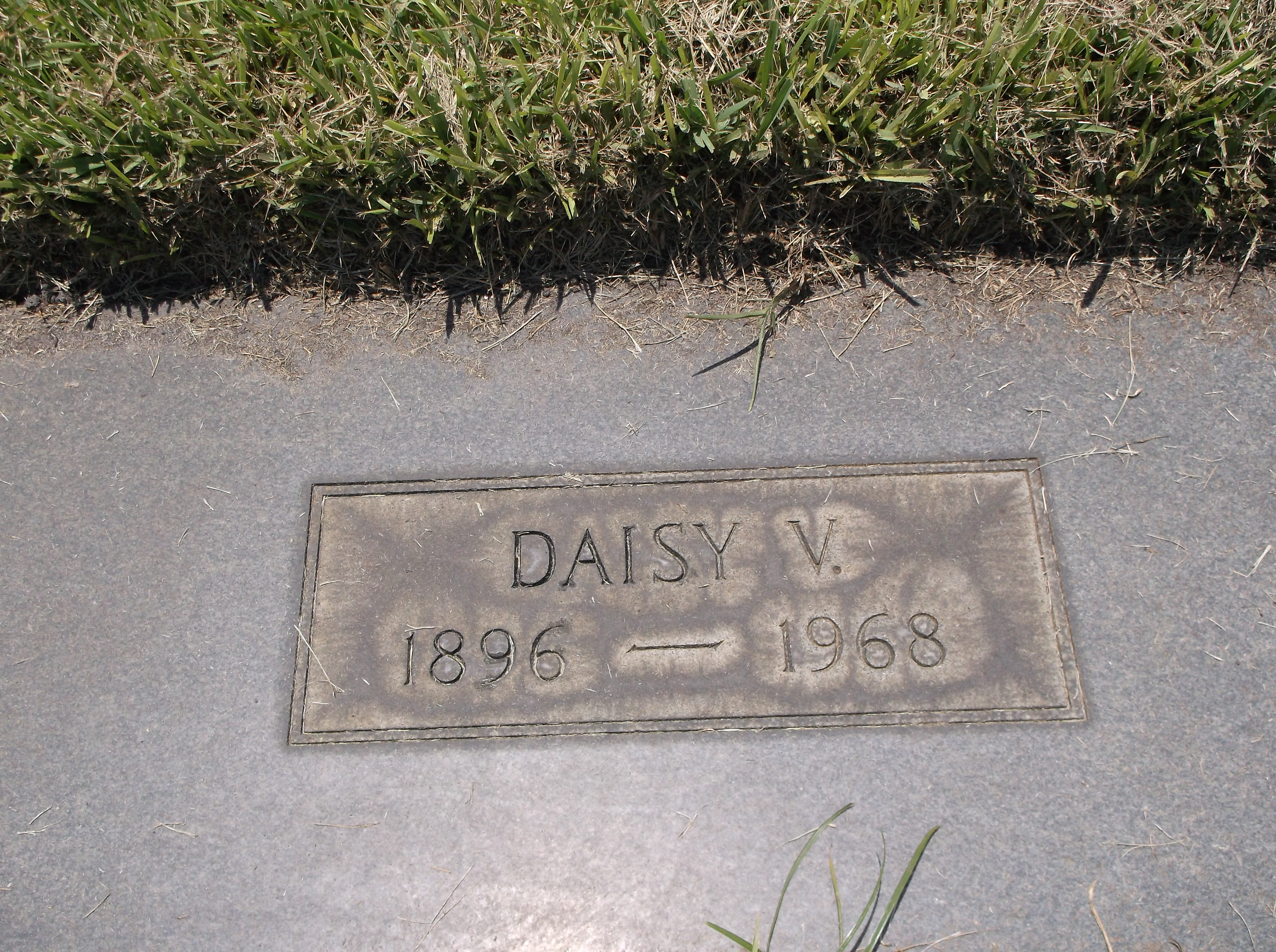 Daisy V Kastner
