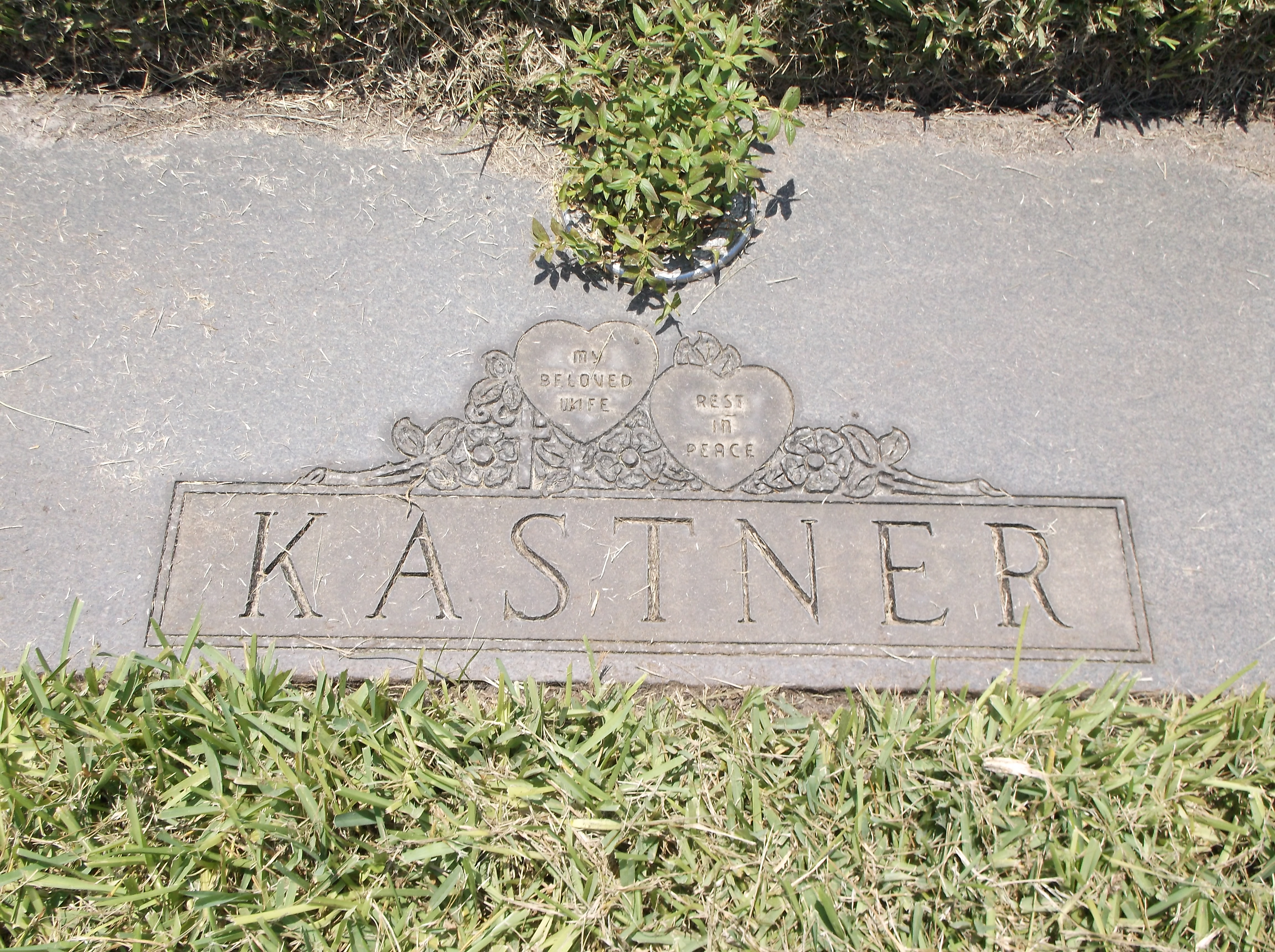 Daisy V Kastner