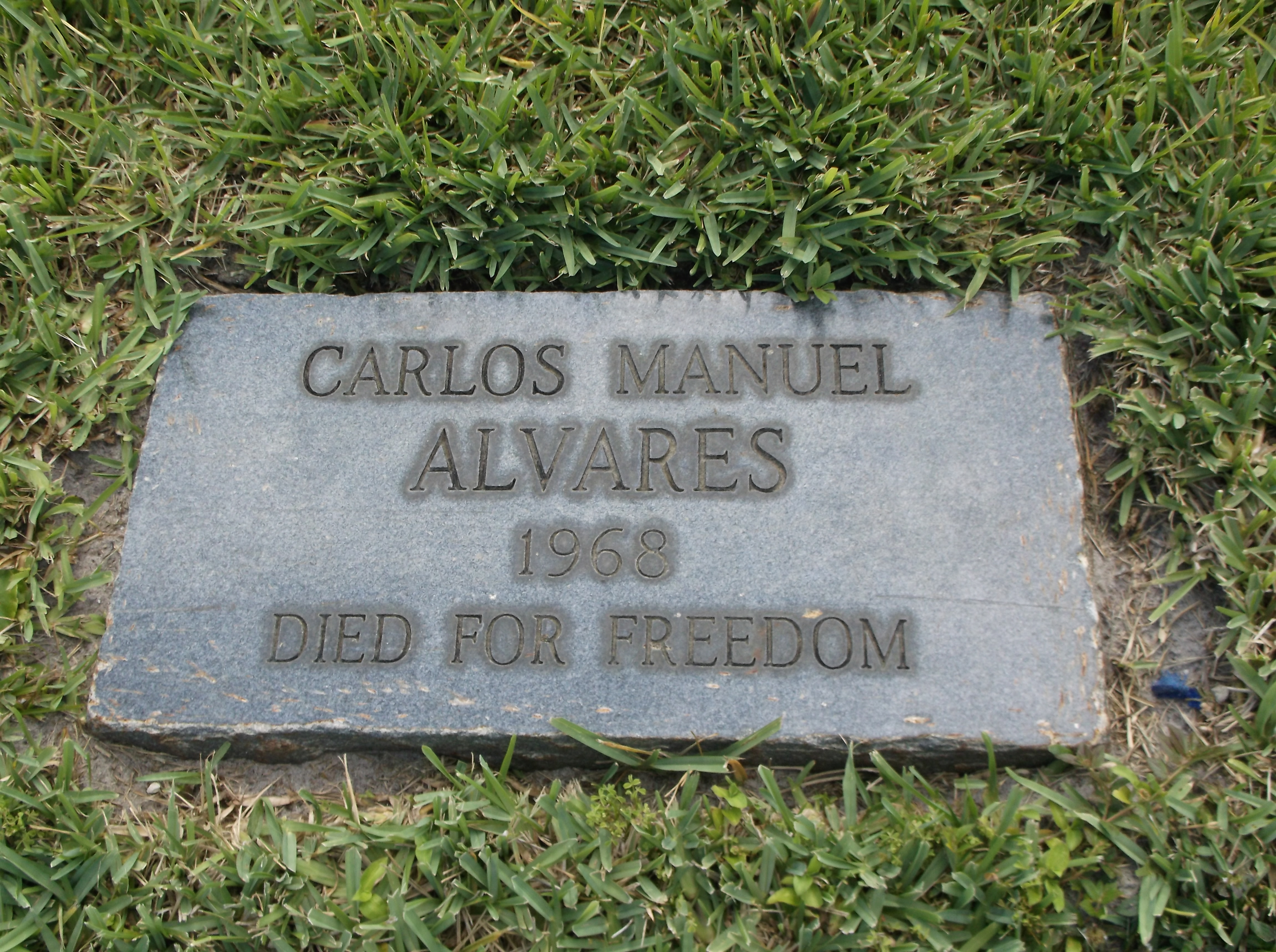 Carlos Manuel Alvares