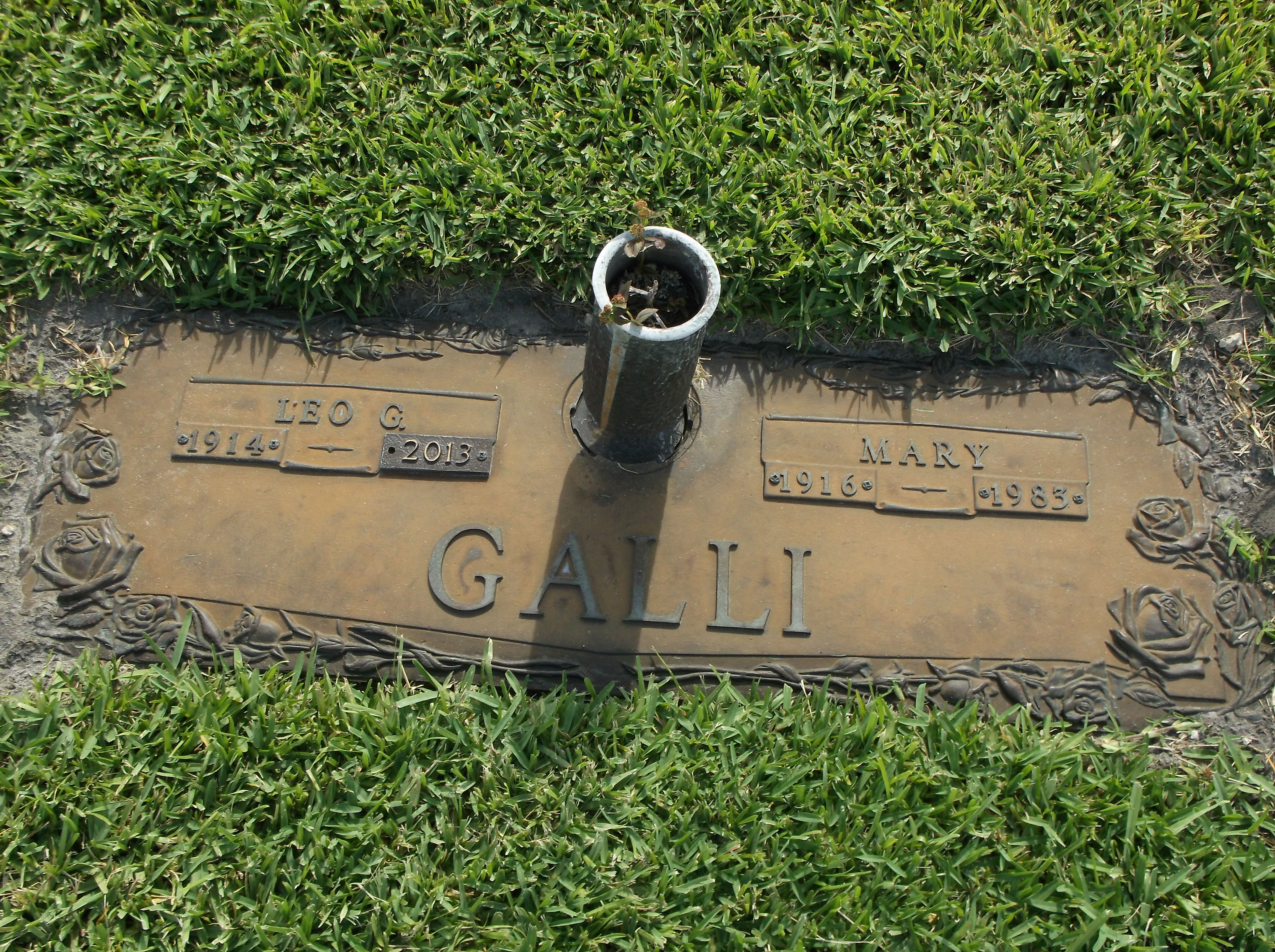 Leo G Galli