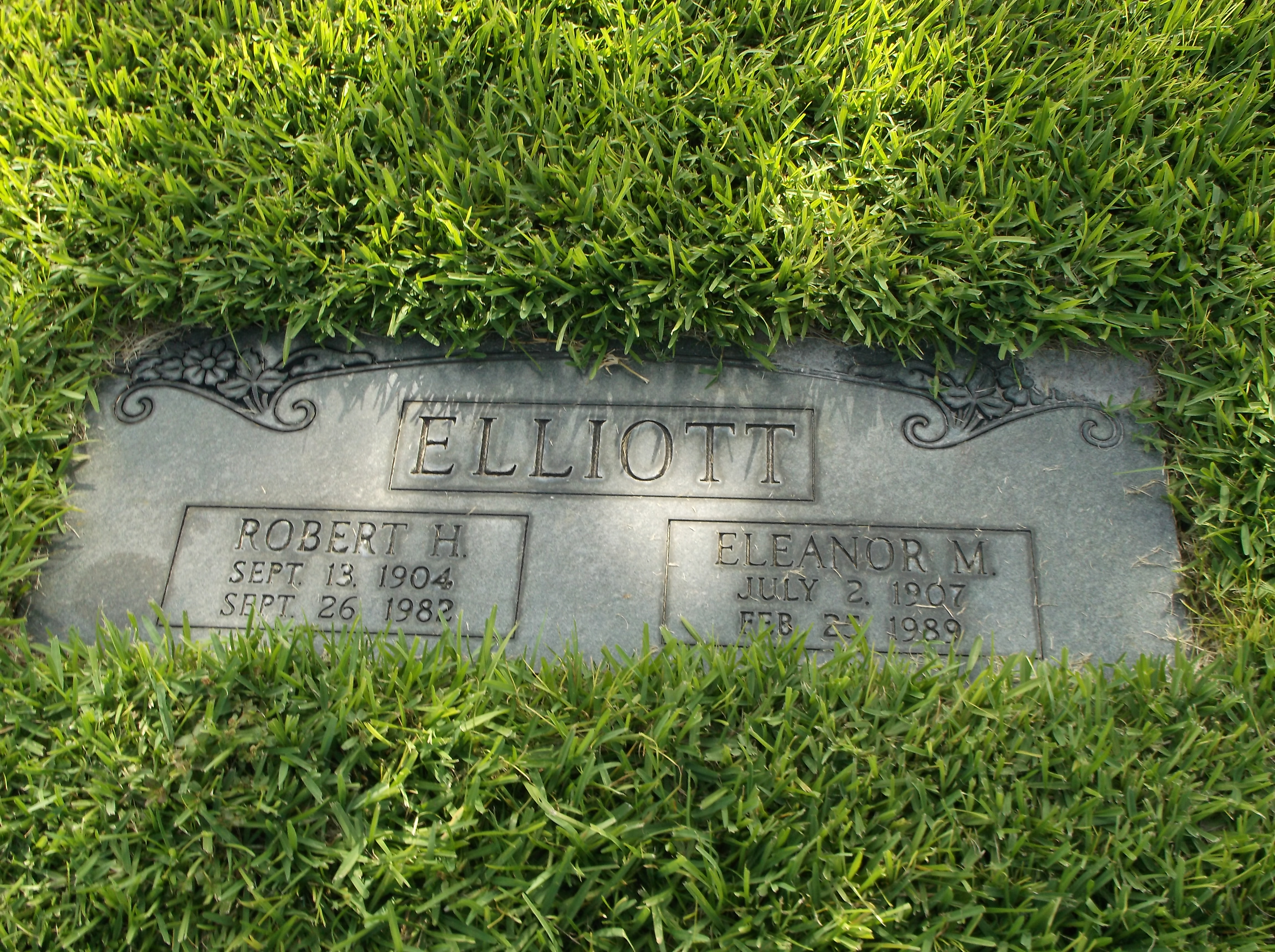 Eleanor M Elliott