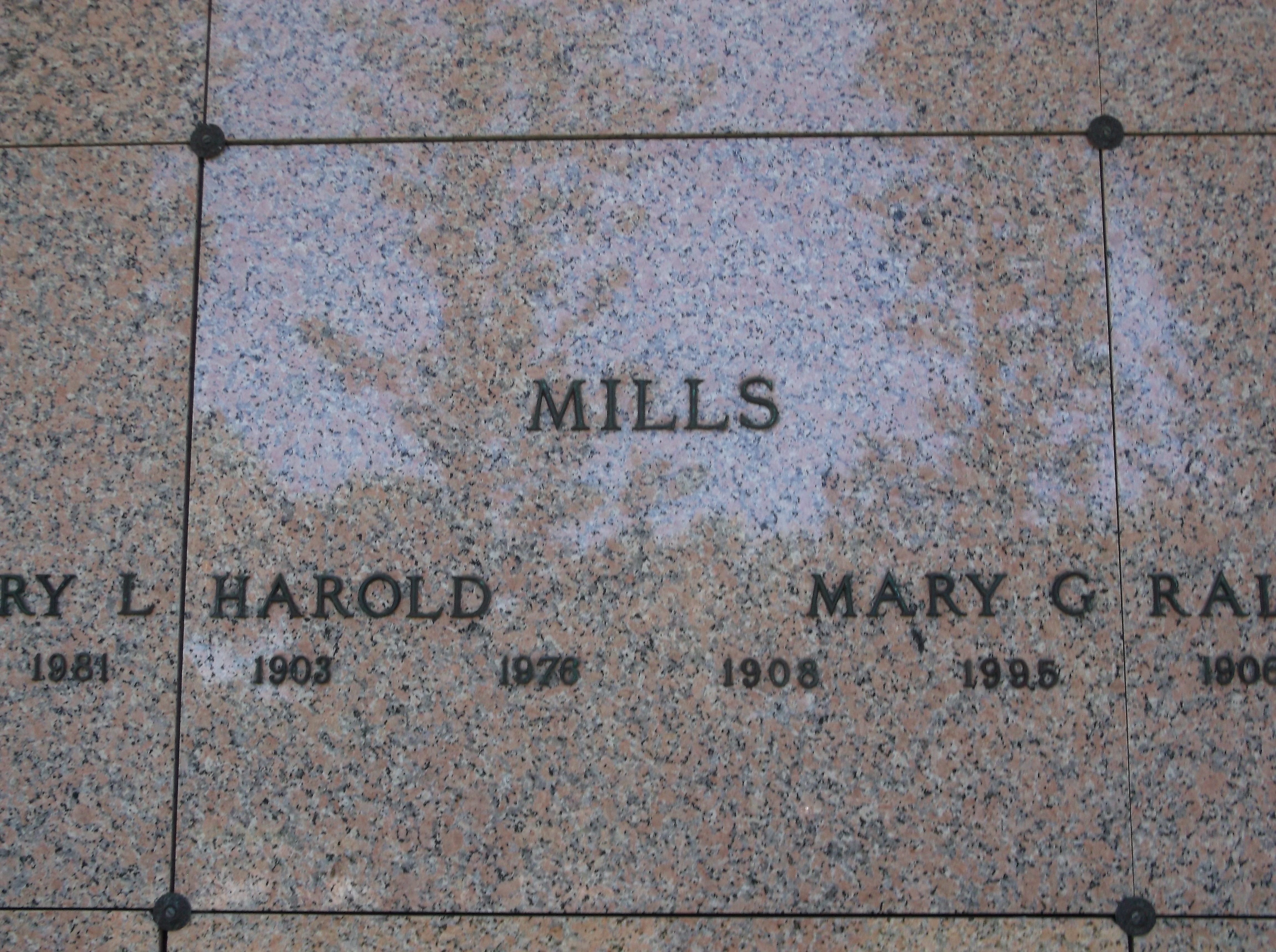 Mary G Mills