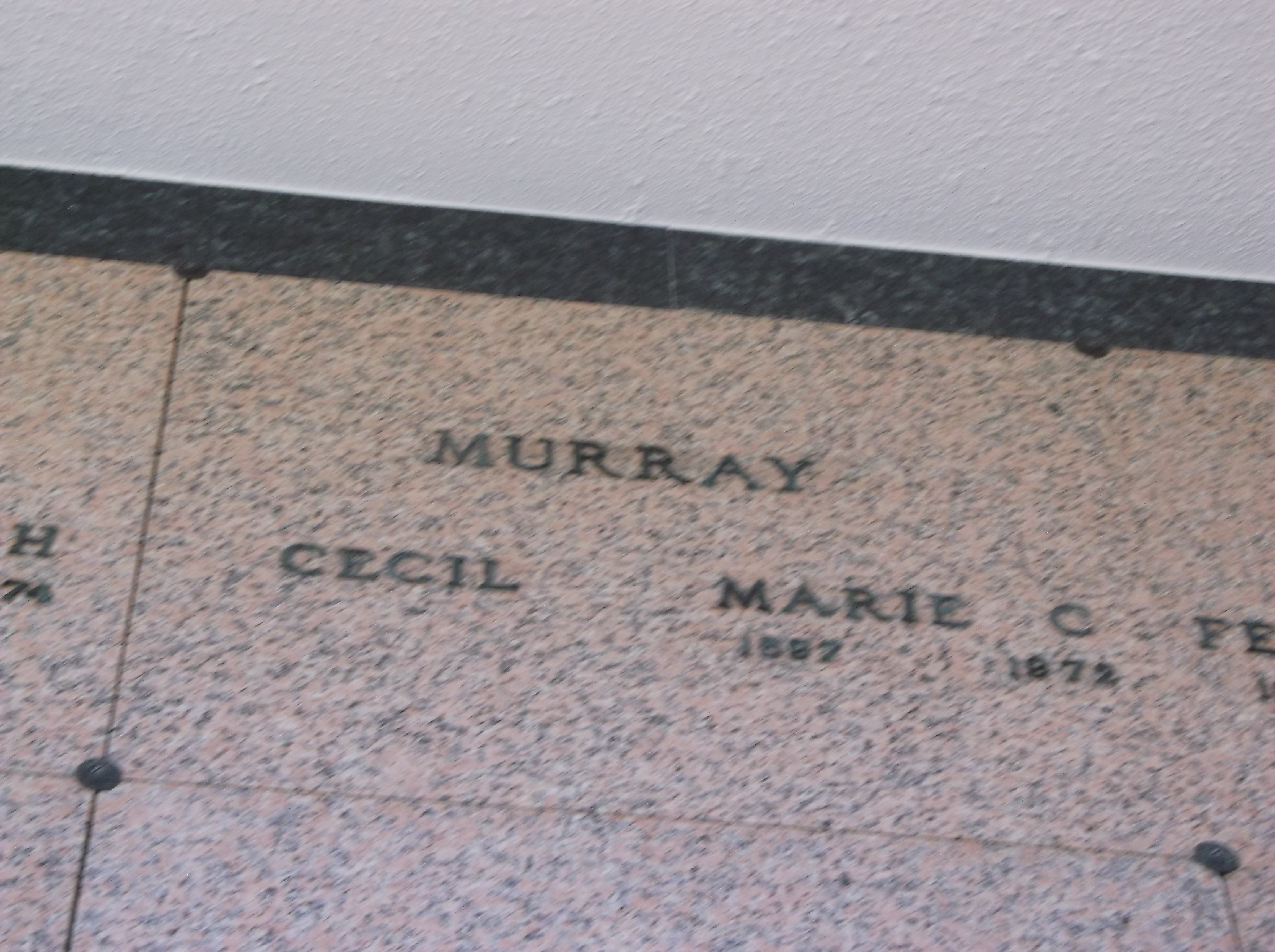 Marie C Murray