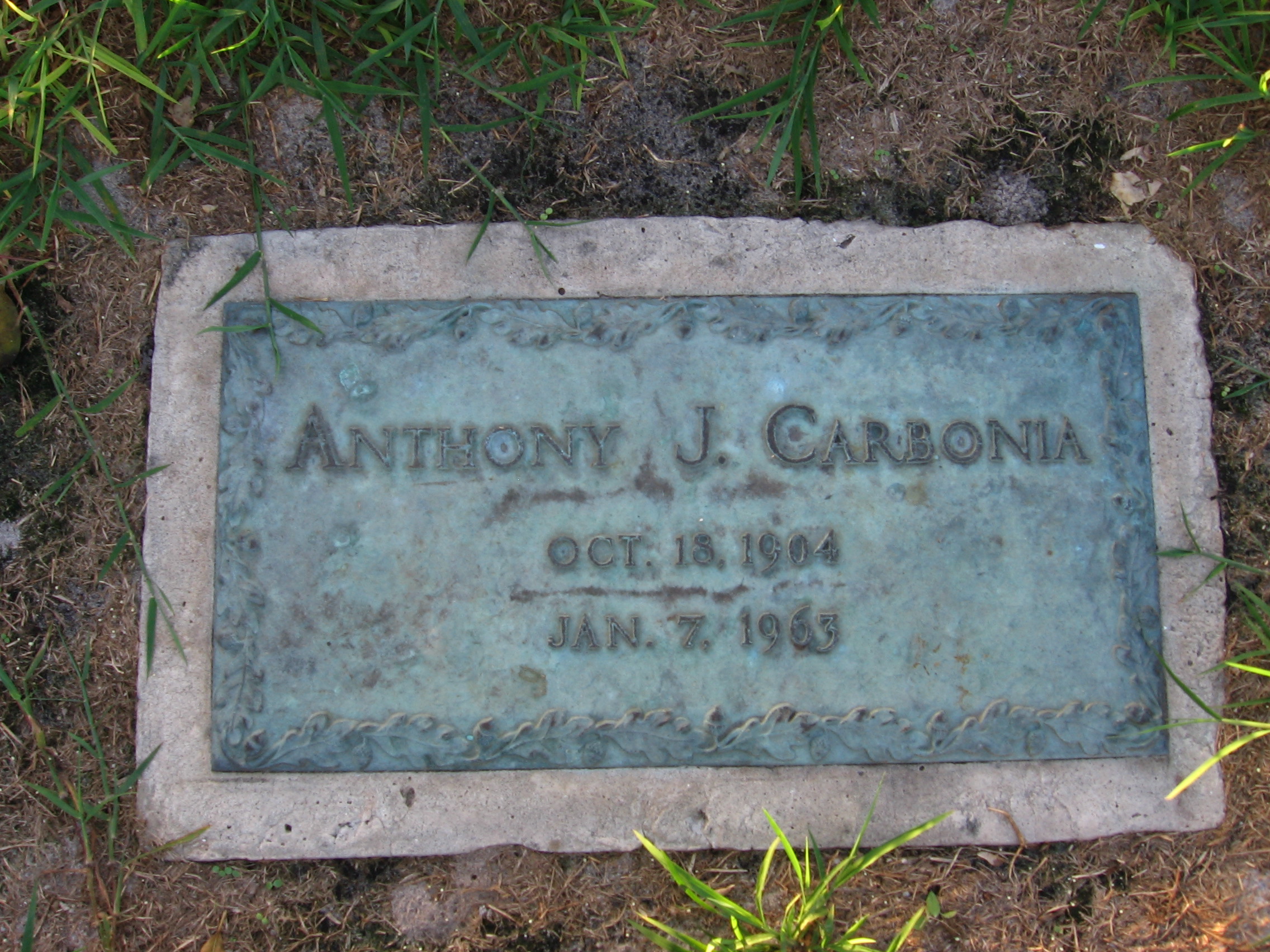 Anthony J Carbonia