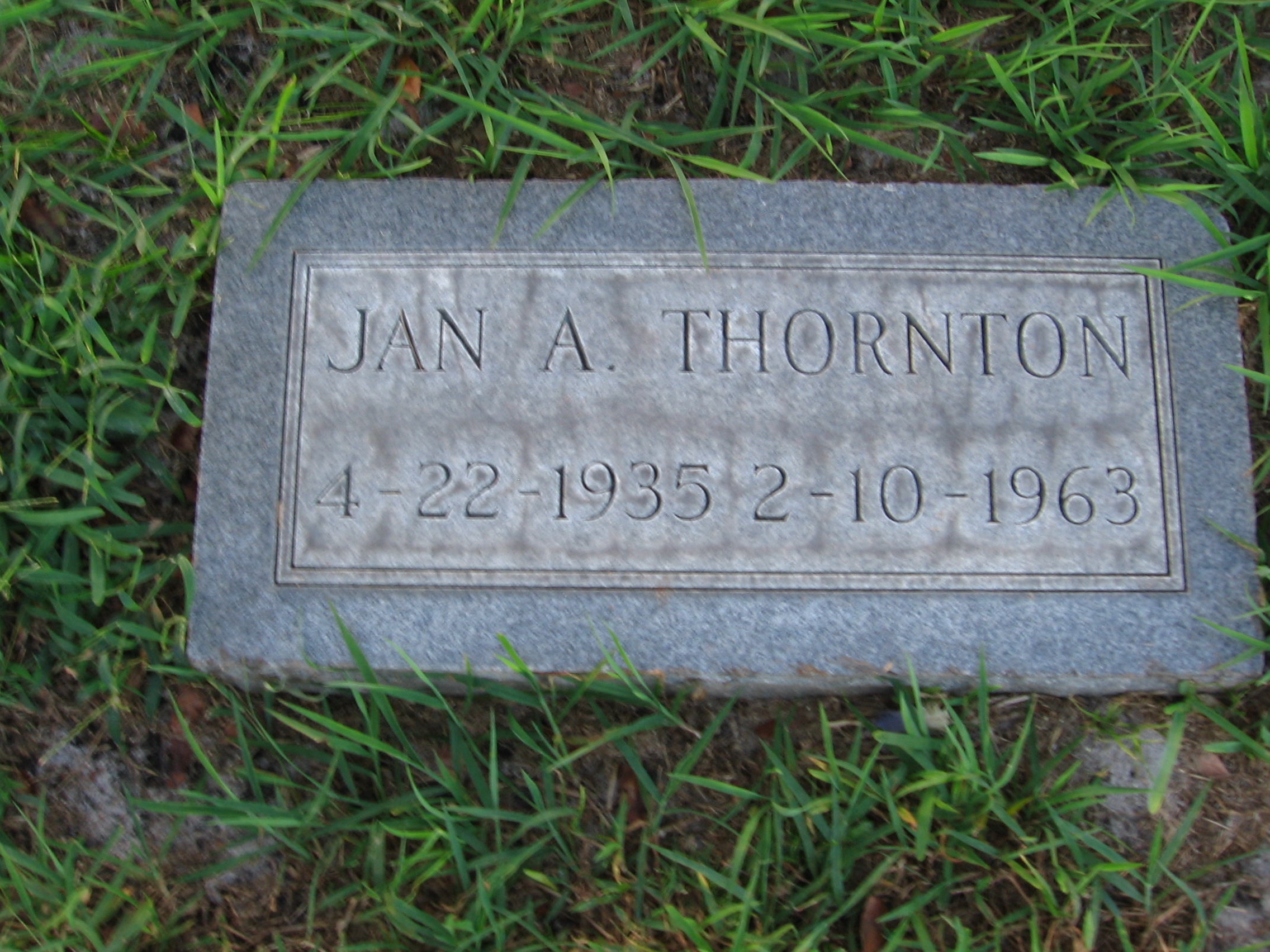 Jan A Thornton