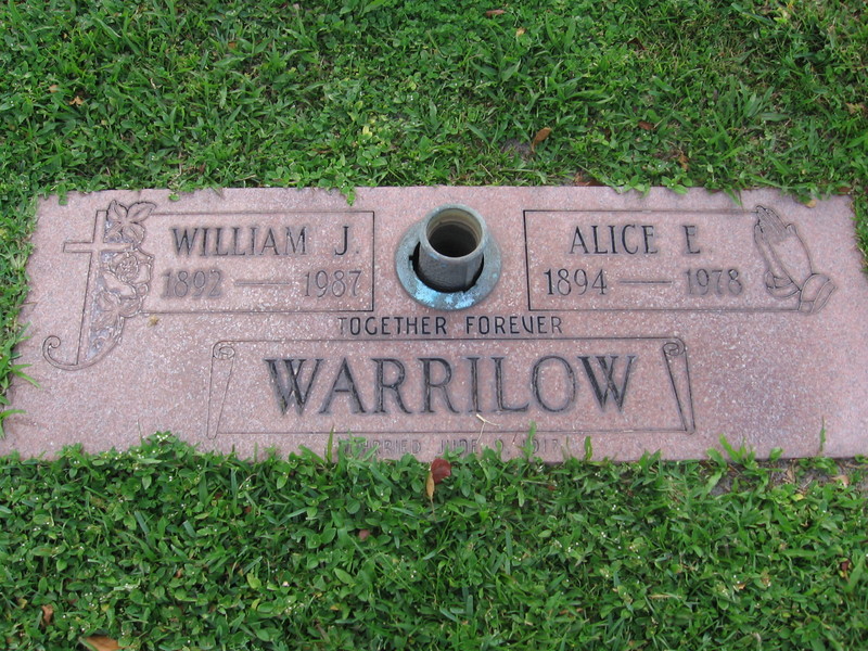 Alice E Warrilow