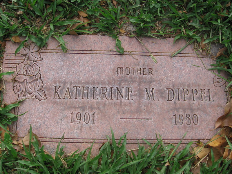 Katherine M Dippel