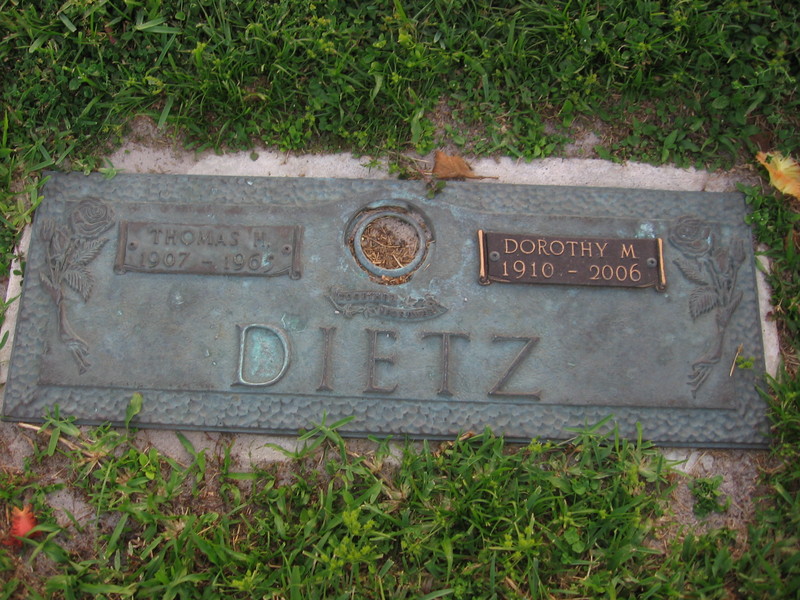 Dorothy M Dietz