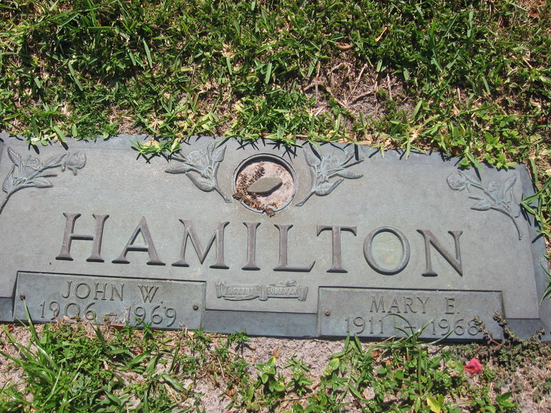 Mary E Hamilton