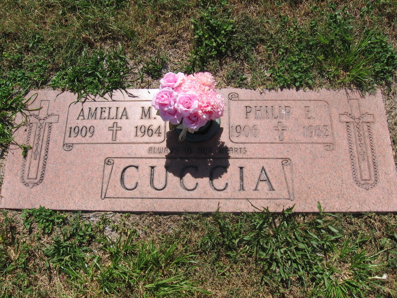 Amelia M Cuccia