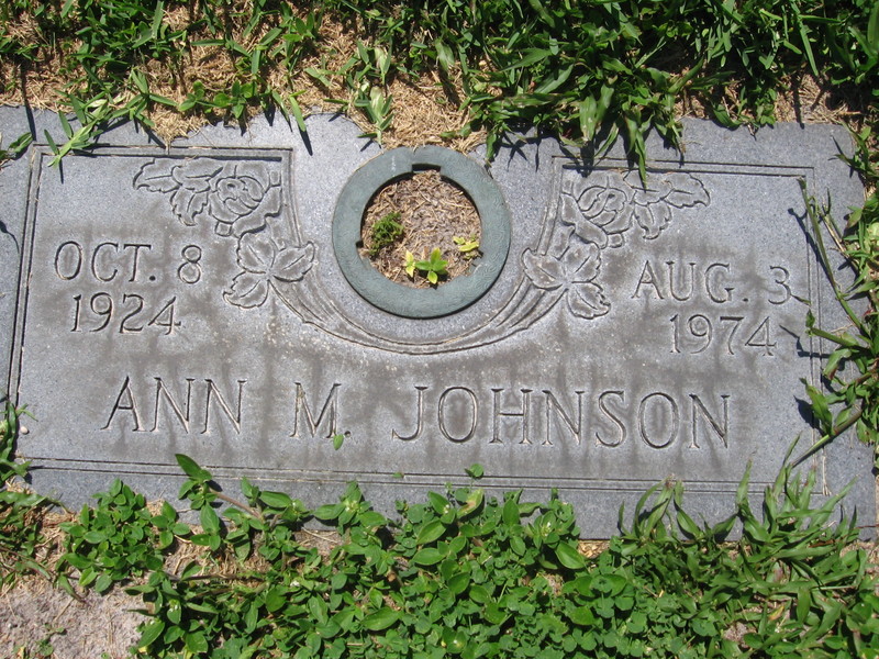 Ann M Johnson