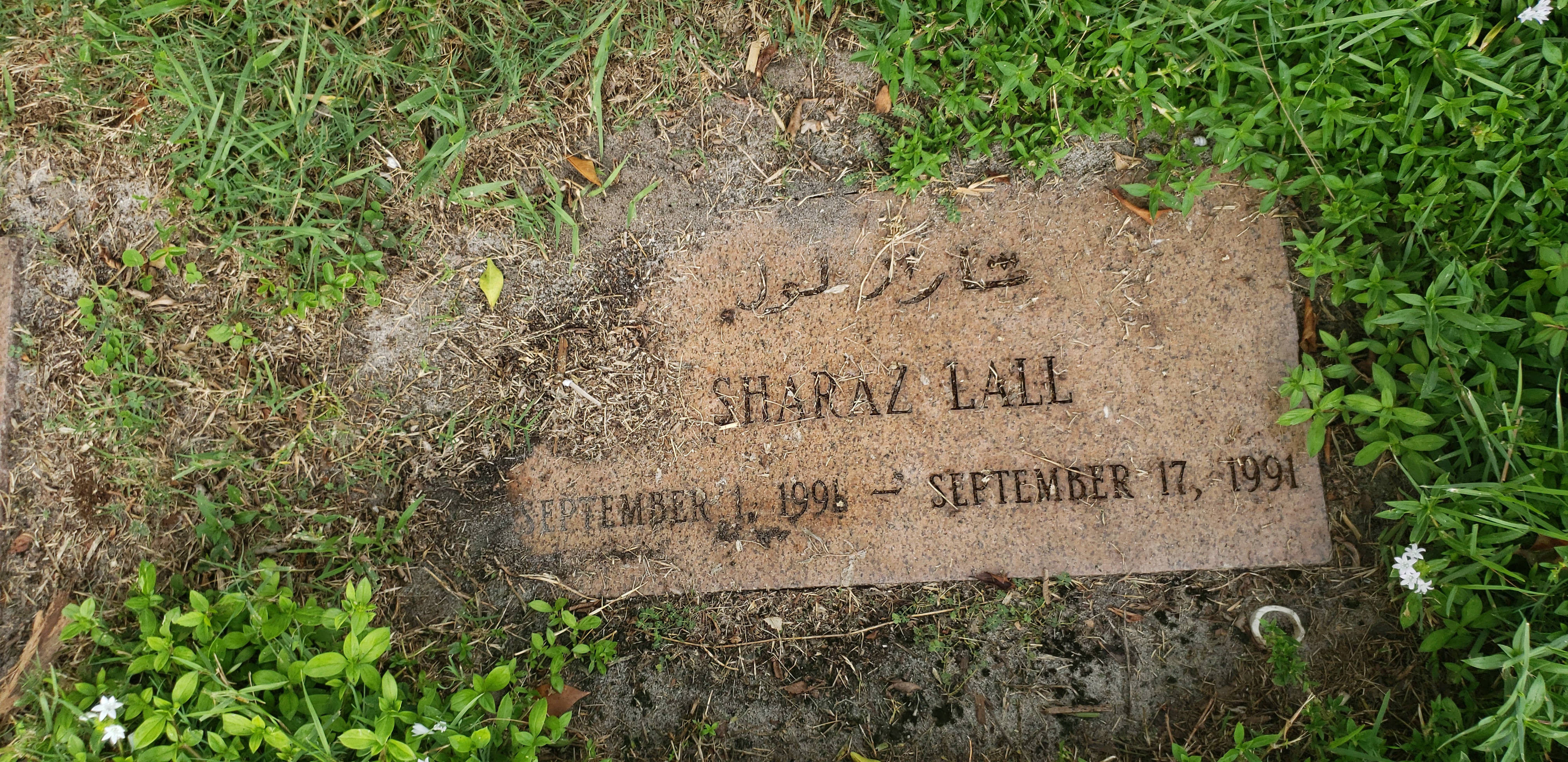 Sharaz Lall