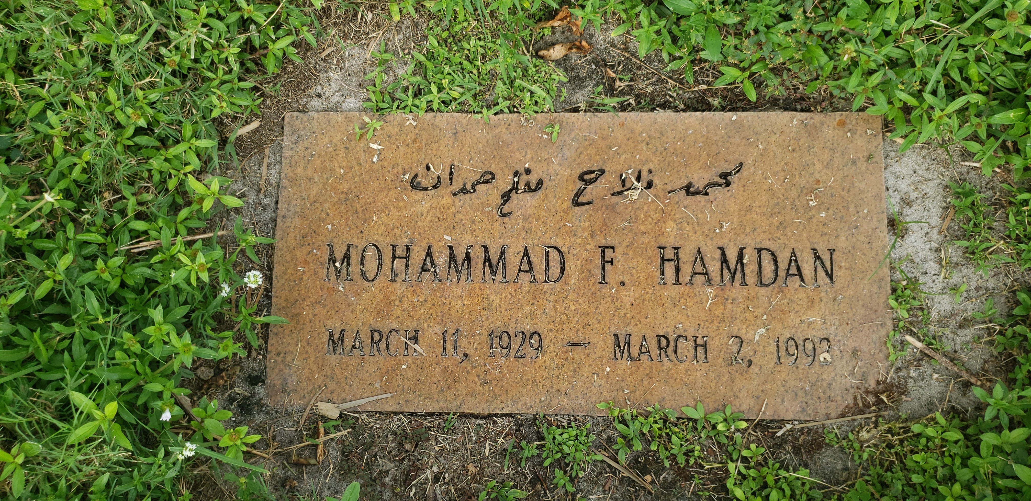 Mohammad F Hamdan