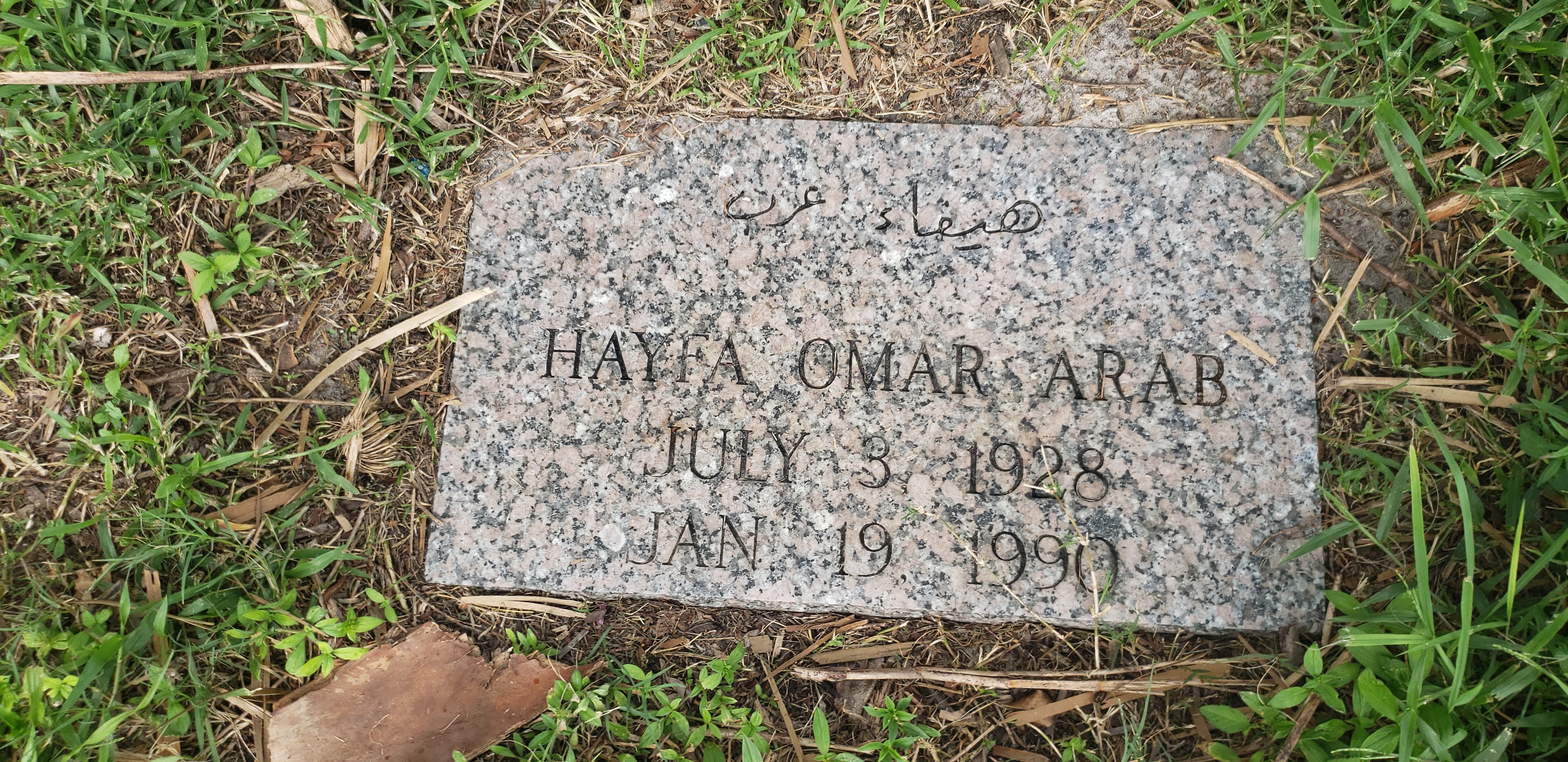 Hayfa Omar Arab