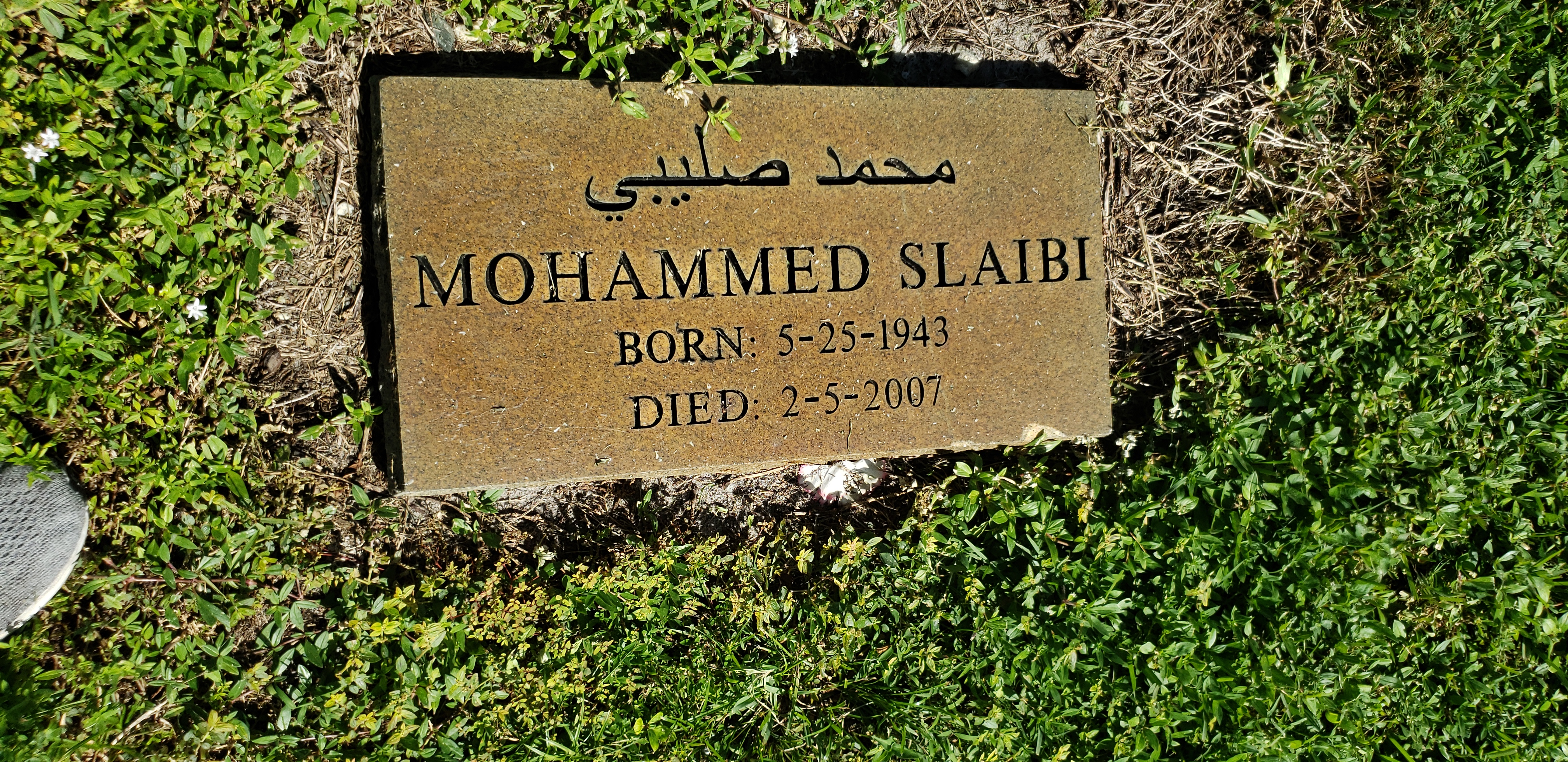 Mohammed Slaibi