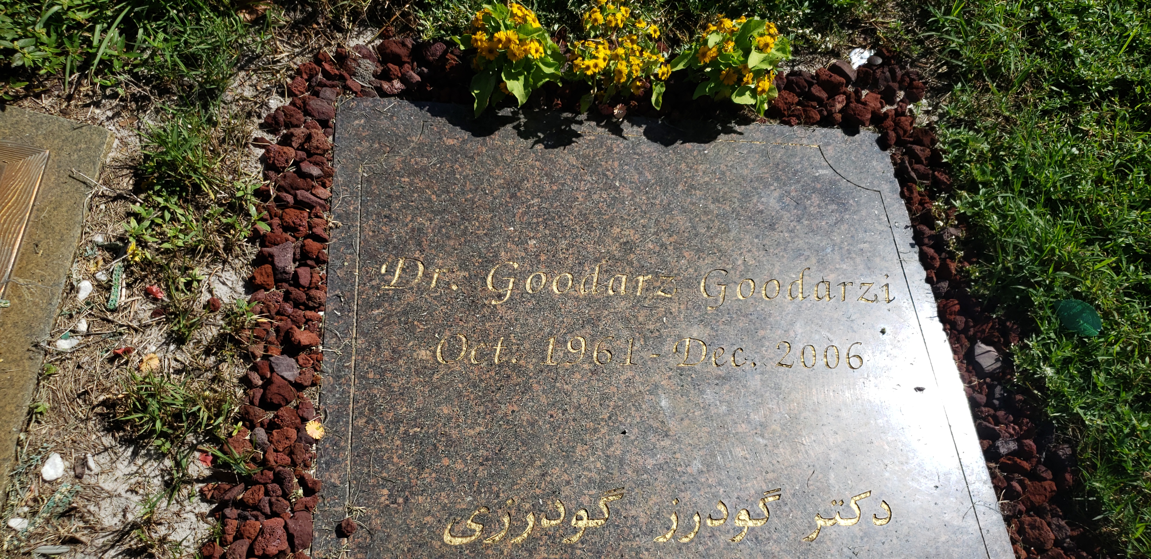 Dr Goodarz Goodarzi