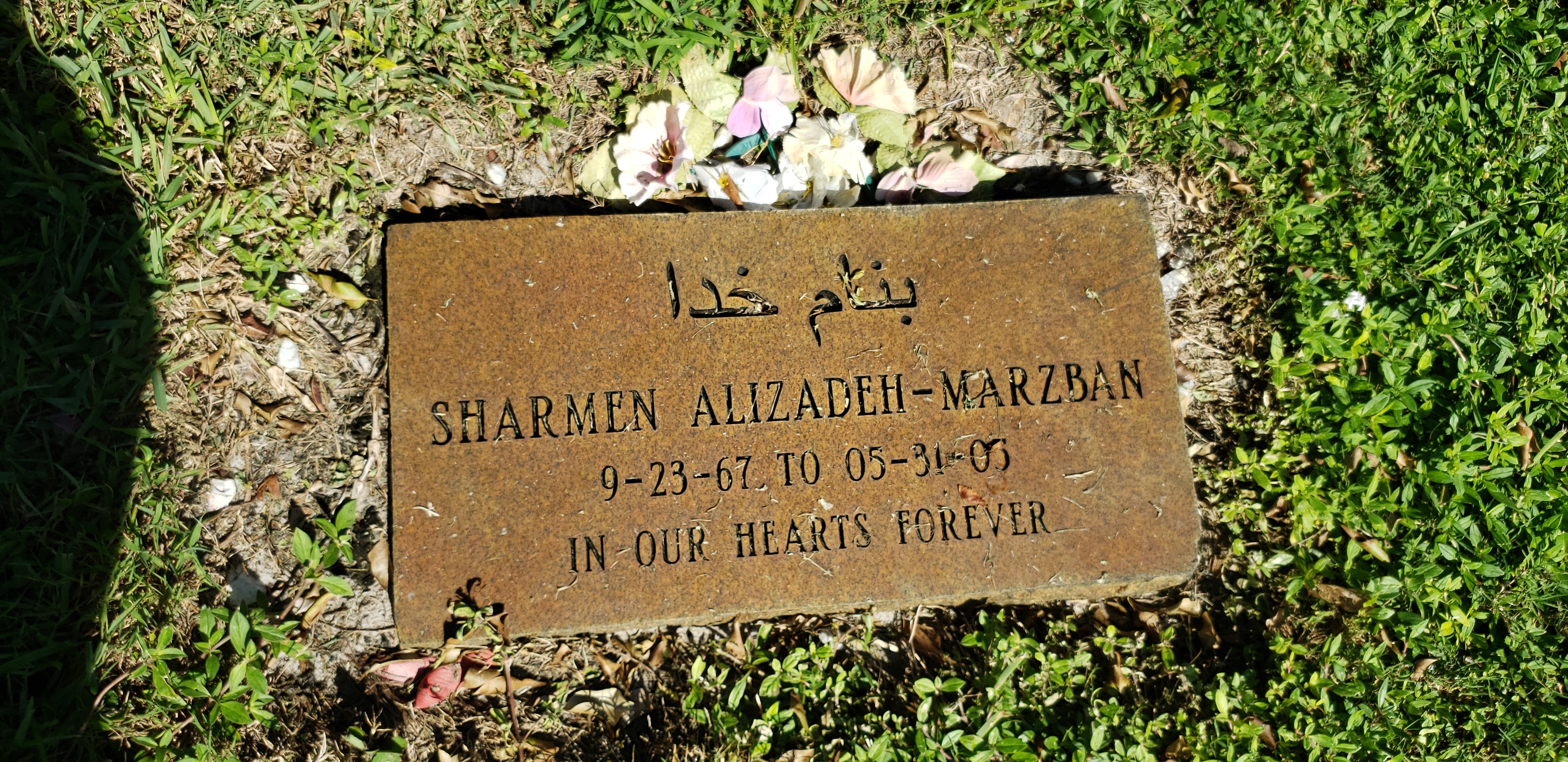 Sharmen Alizadeh-Marzban