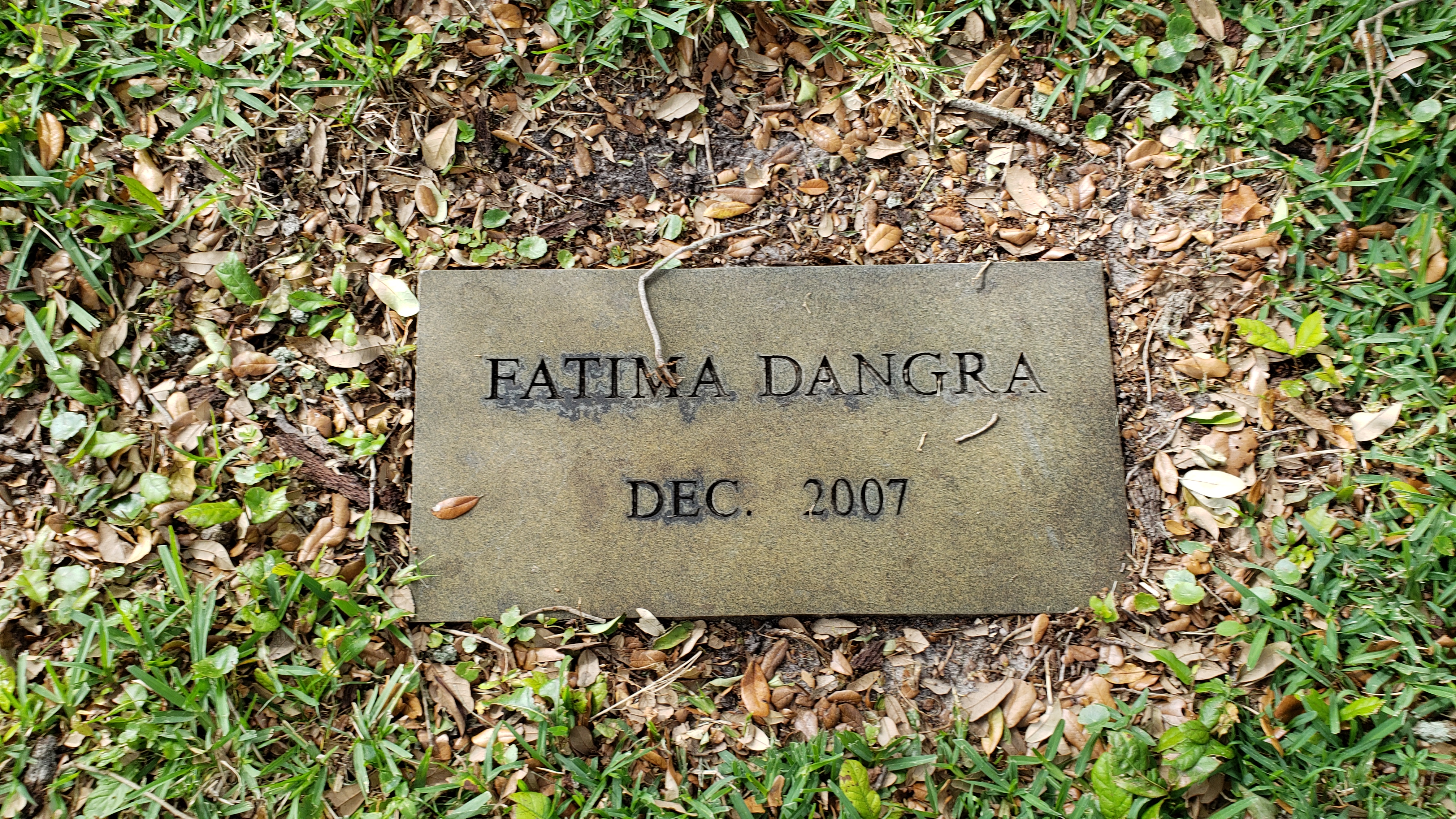 Fatima Dangra