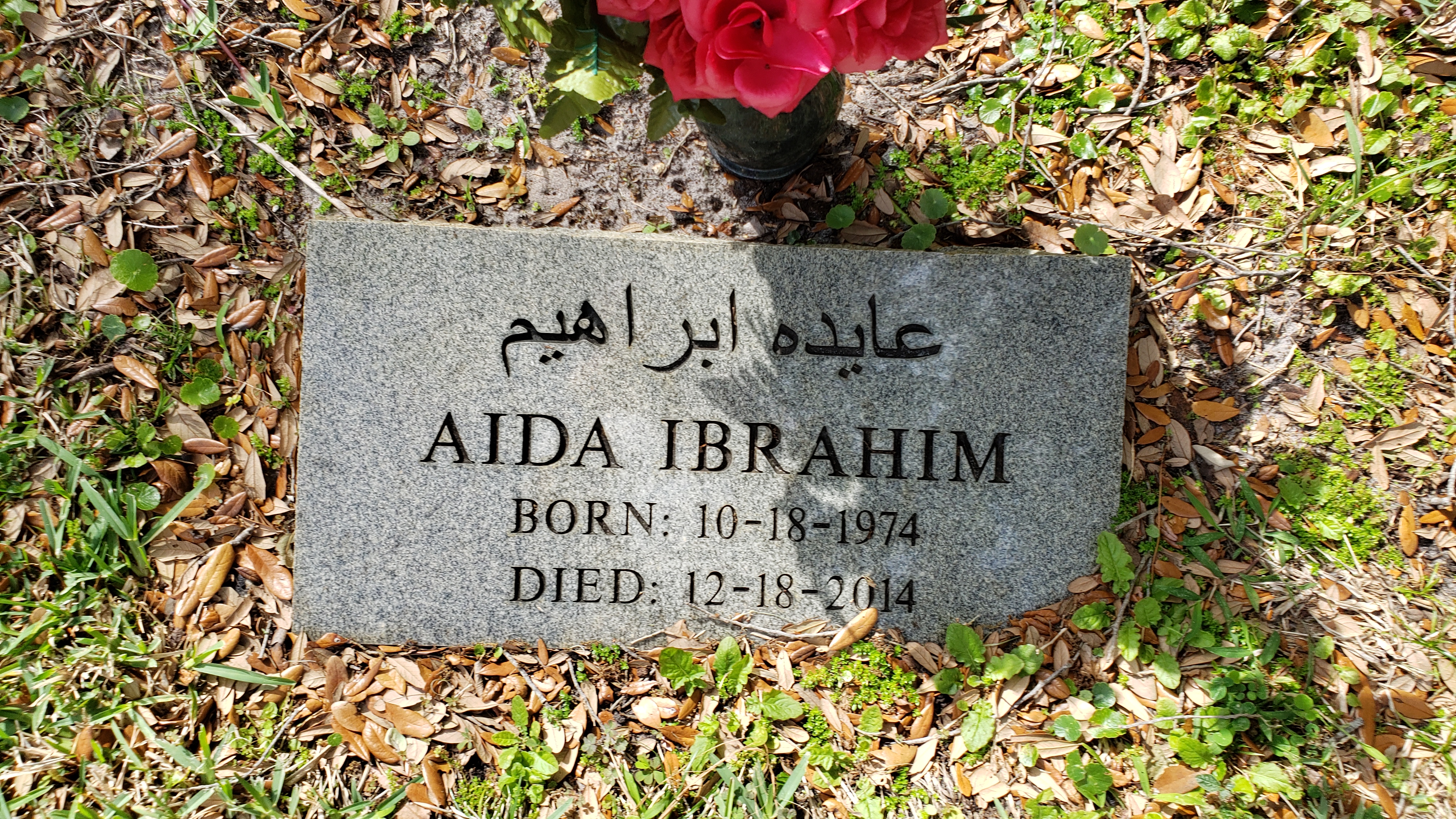 Aida Ibrahim
