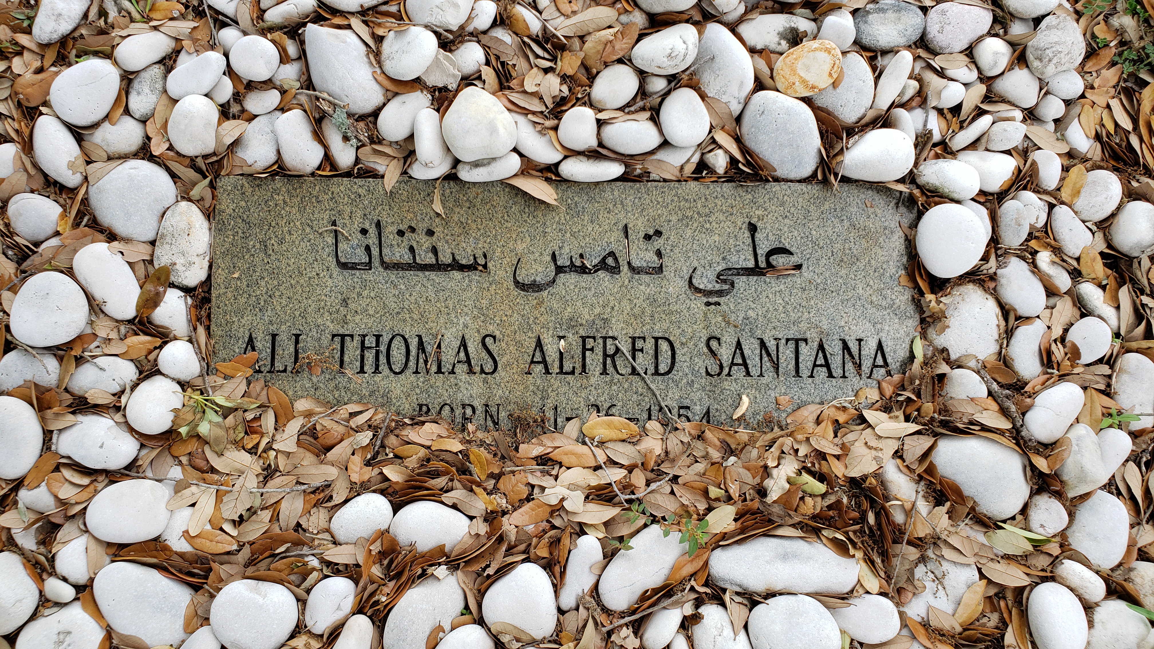 Ali Thomas Alfred Santana