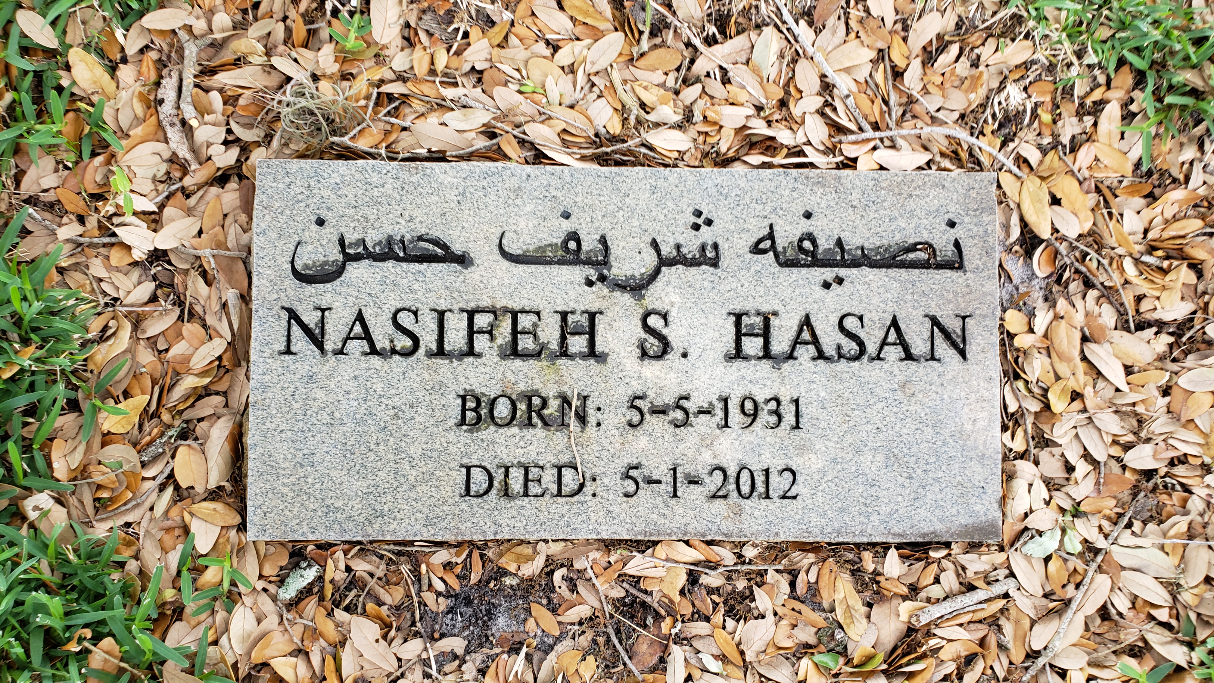 Nasifeh S Hasan