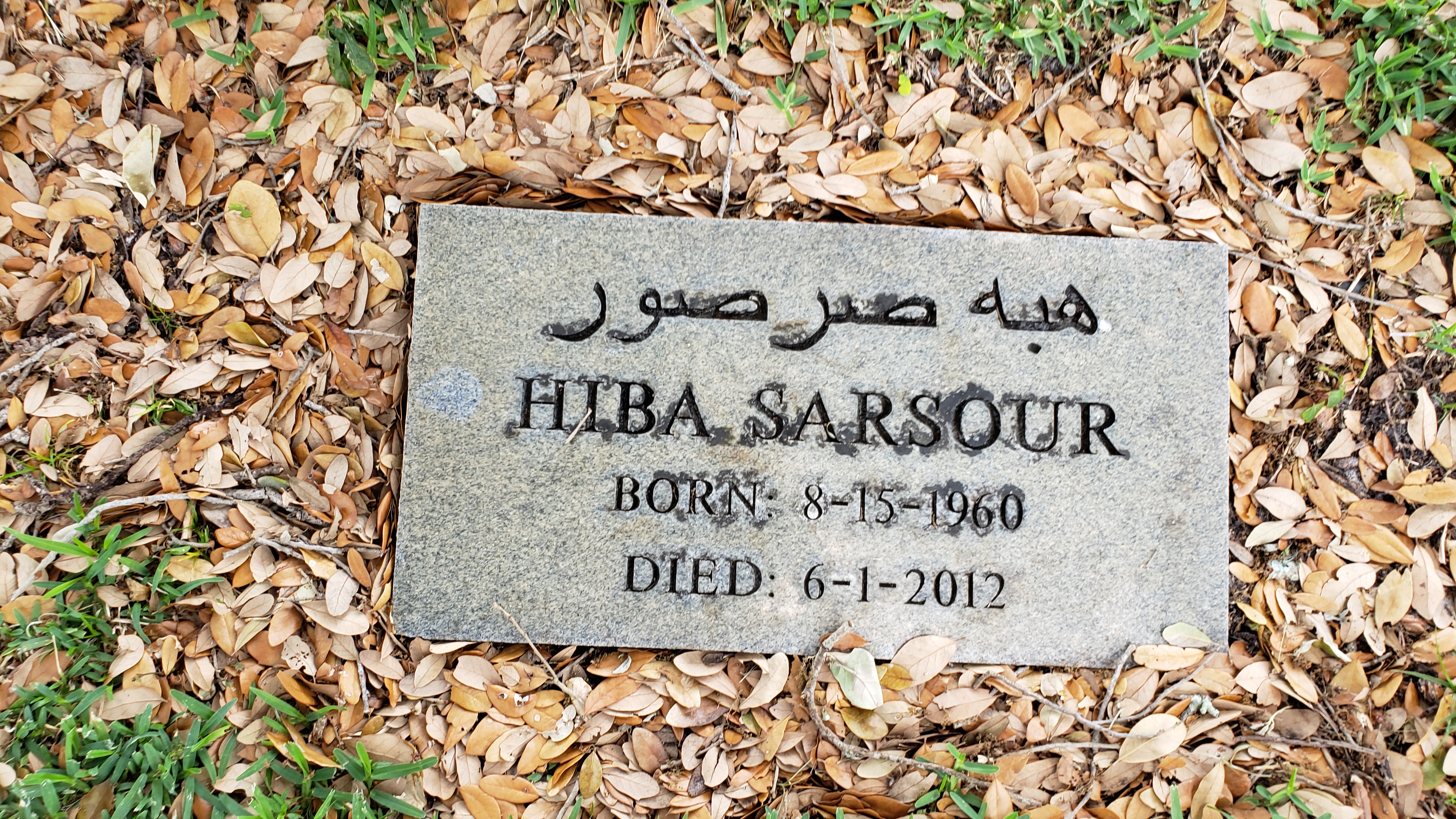 Hiba Sarsour