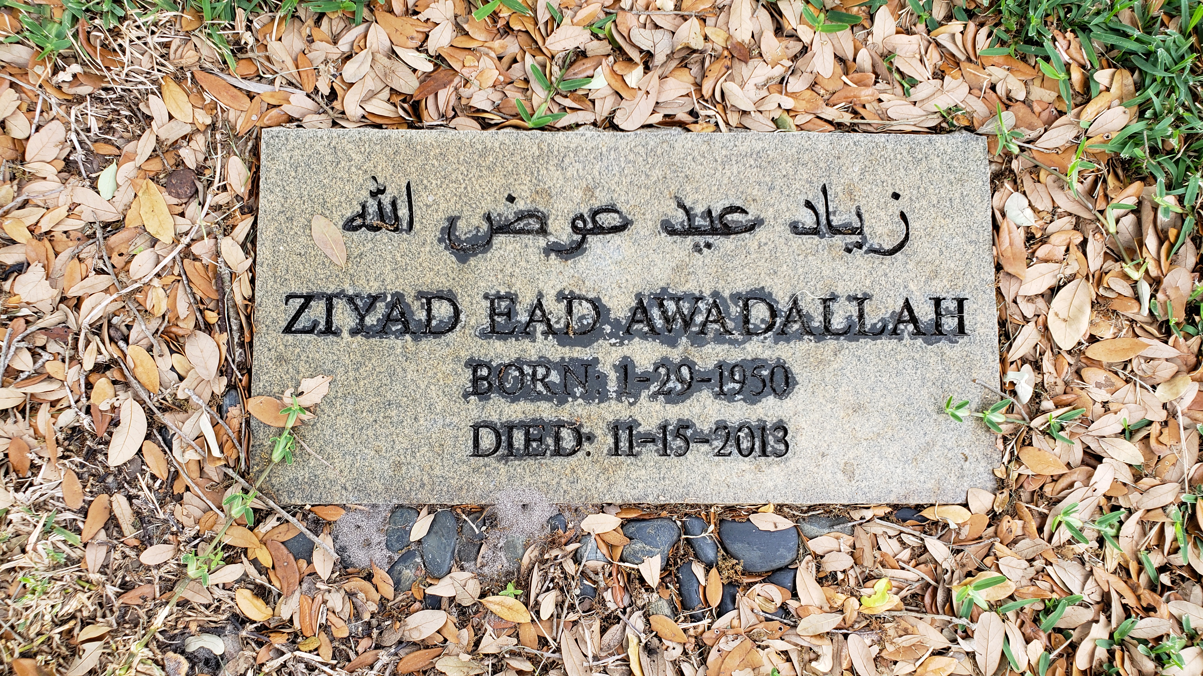 Ziyad Ead Awadallah