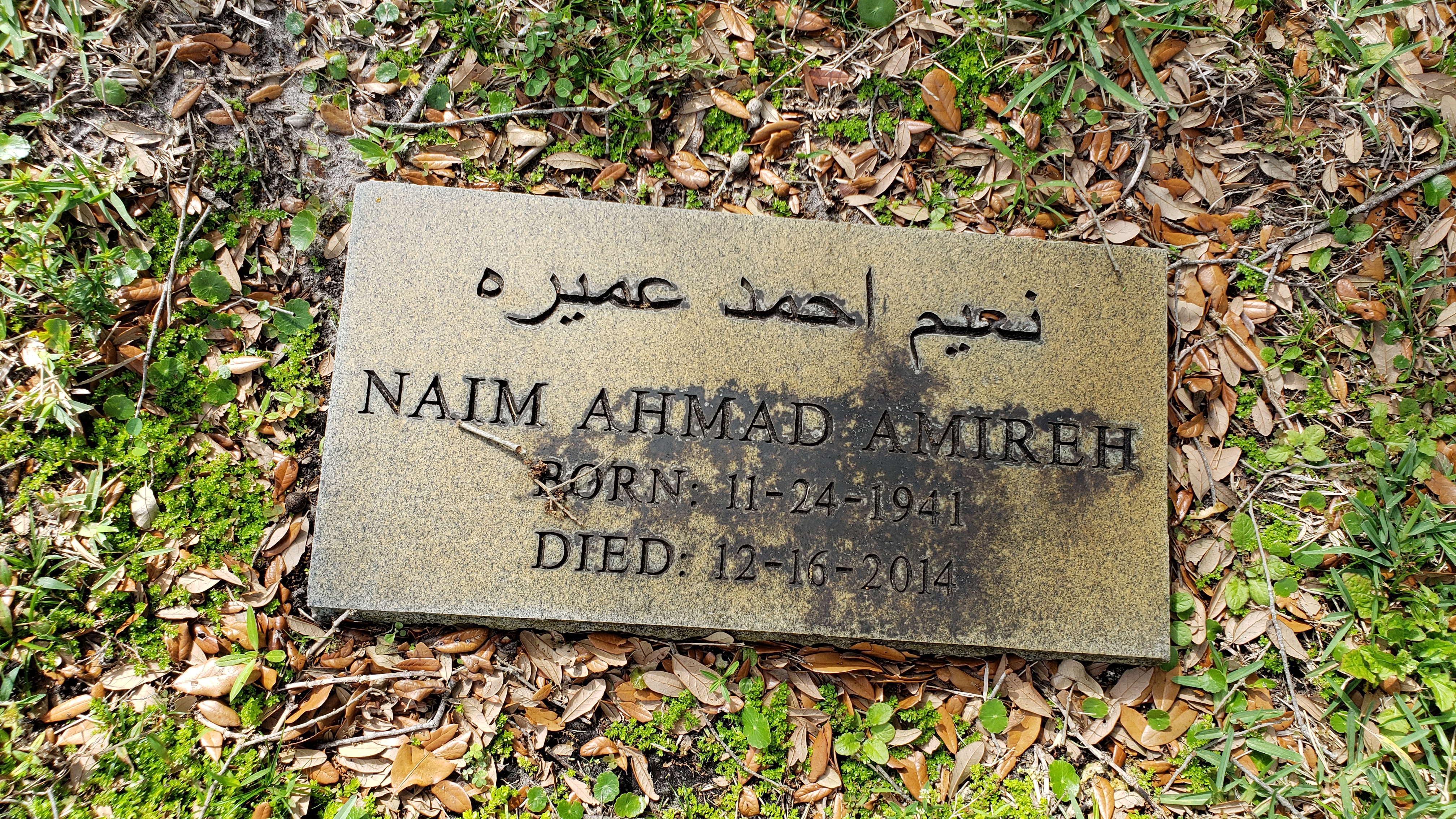 Naim Ahmad Amireh